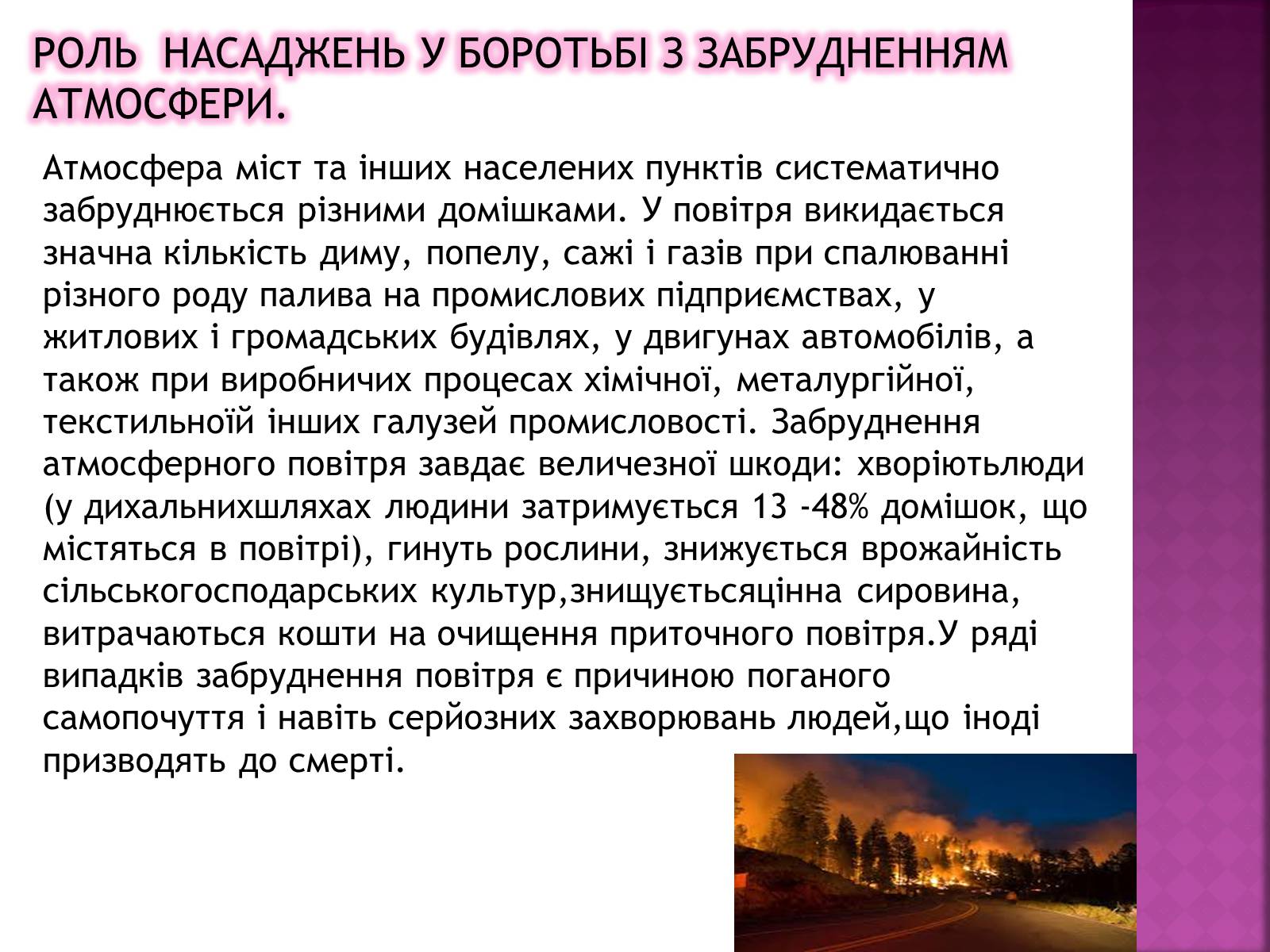 Презентація на тему «Вплив зелених насаджень на загазованість міста Броди» - Слайд #9 Презентація на тему «Вплив зелених насаджень на загазованість міста Броди» - Слайд #9