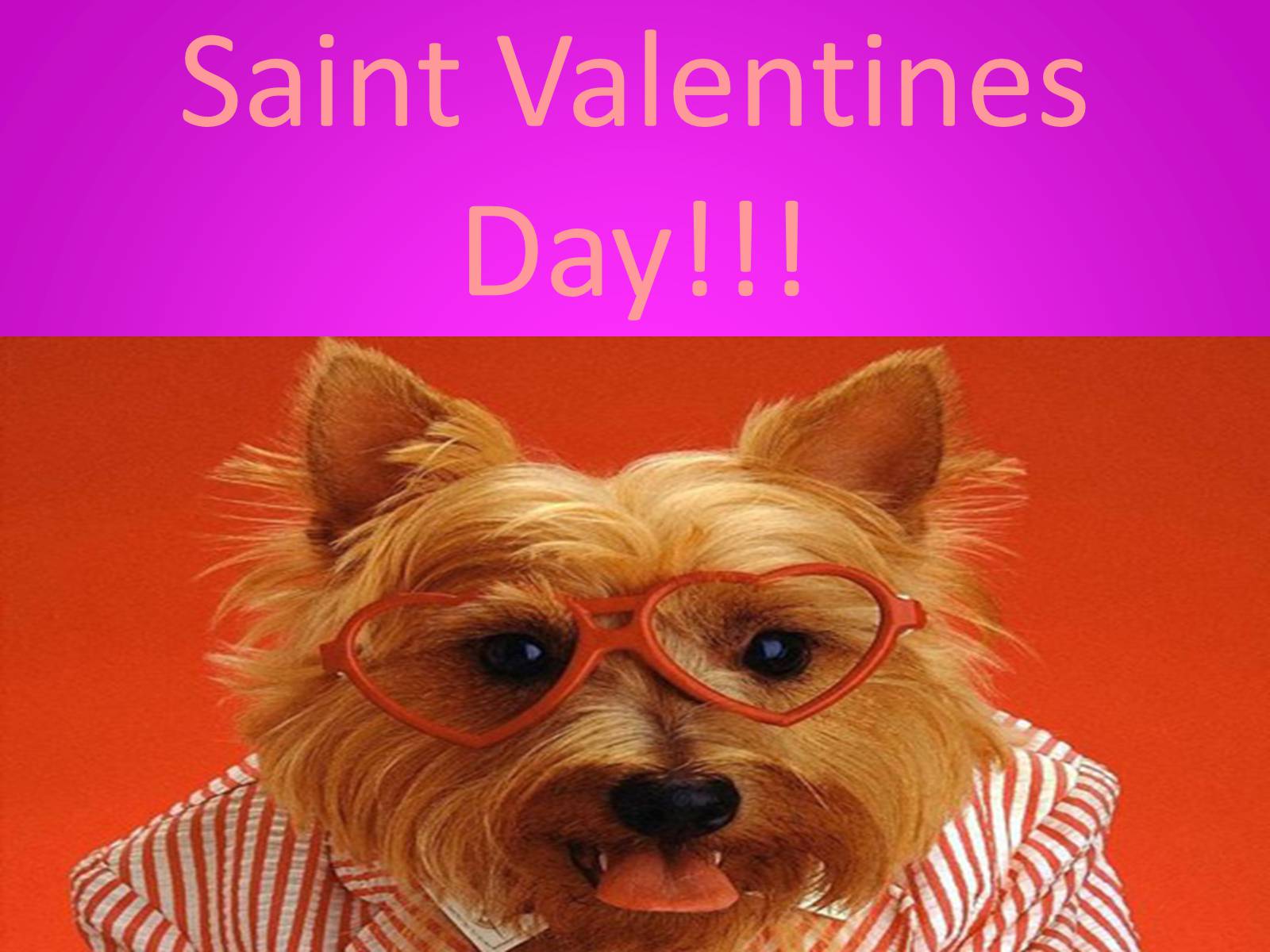 Презентація на тему «Saint Valentines Day» - Слайд #1 Презентація на тему «Saint Valentines Day» - Слайд #1
