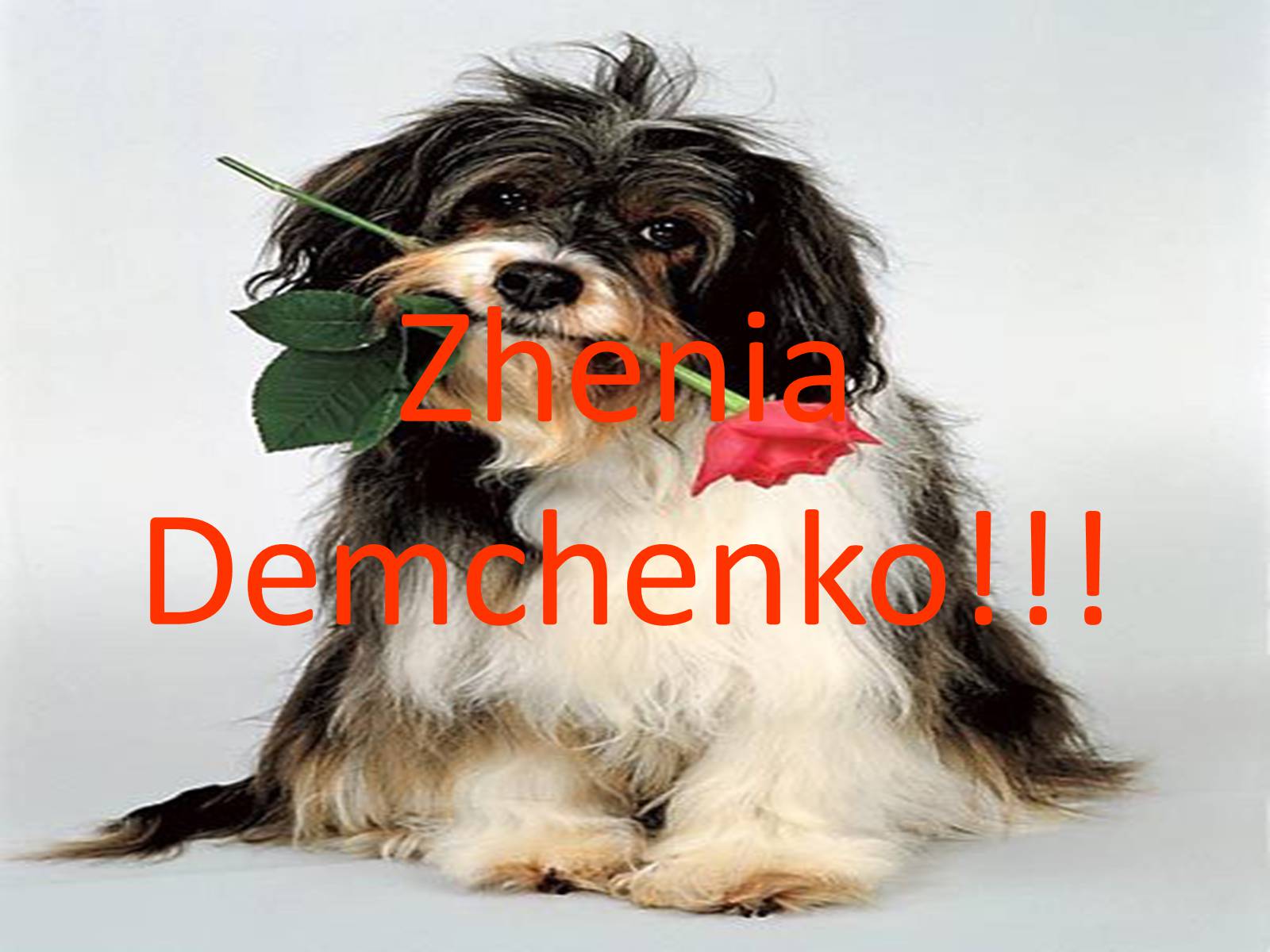 Презентація на тему «Saint Valentines Day» - Слайд #26 Презентація на тему «Saint Valentines Day» - Слайд #26