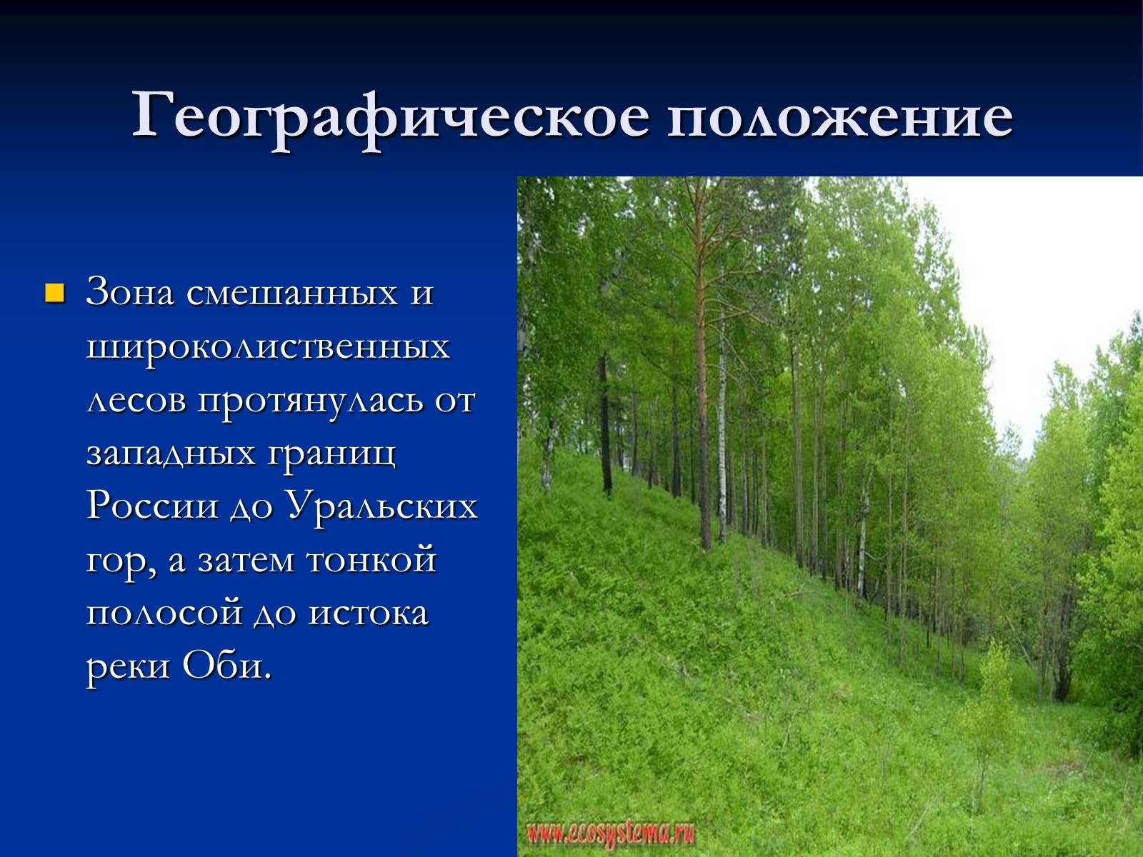 Презентація на тему «Природная зона смешанных и широколиственных лесов» - Слайд #2 Презентація на тему «Природная зона смешанных и широколиственных лесов» - Слайд #2
