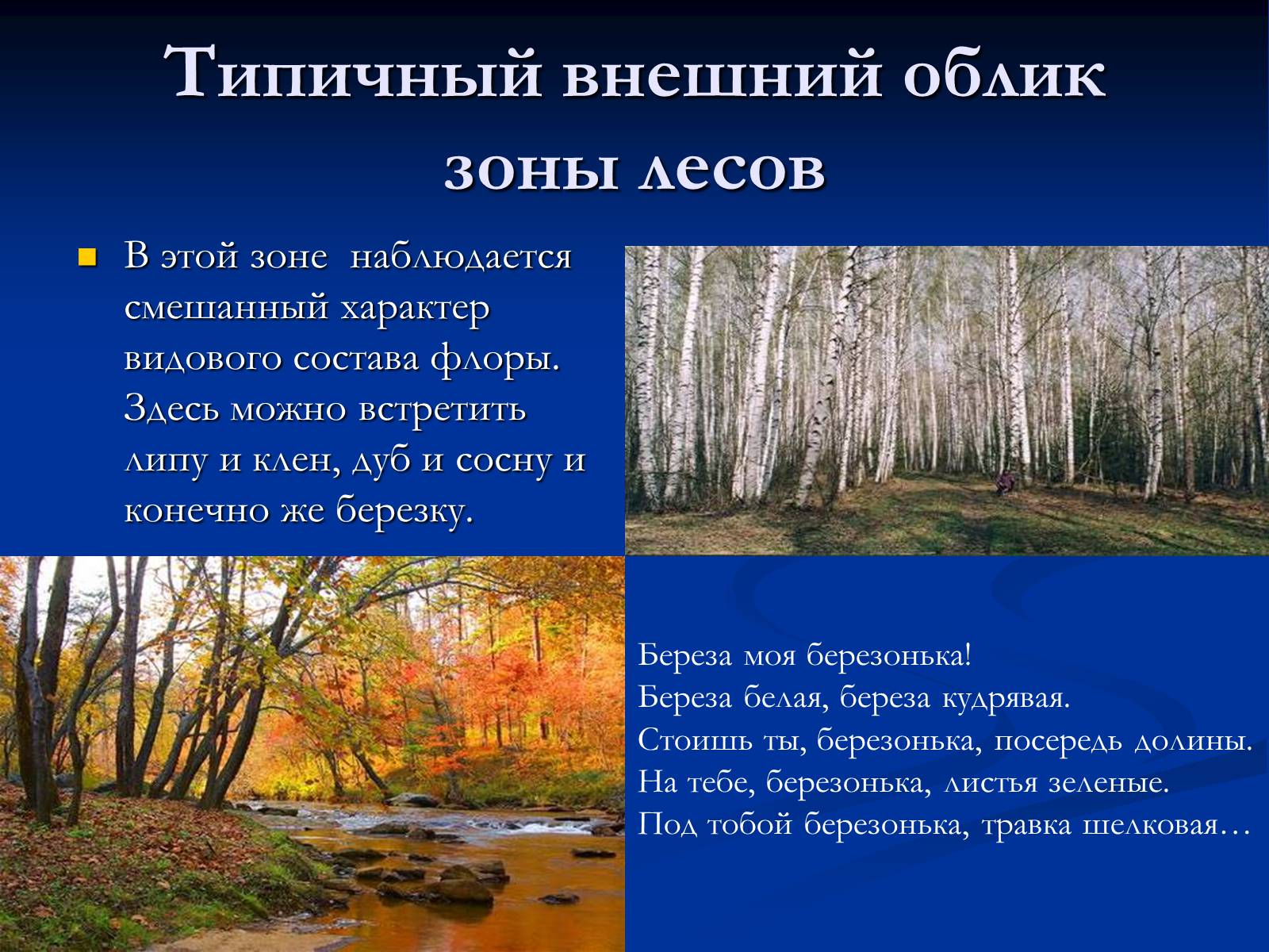 Презентація на тему «Природная зона смешанных и широколиственных лесов» - Слайд #3 Презентація на тему «Природная зона смешанных и широколиственных лесов» - Слайд #3