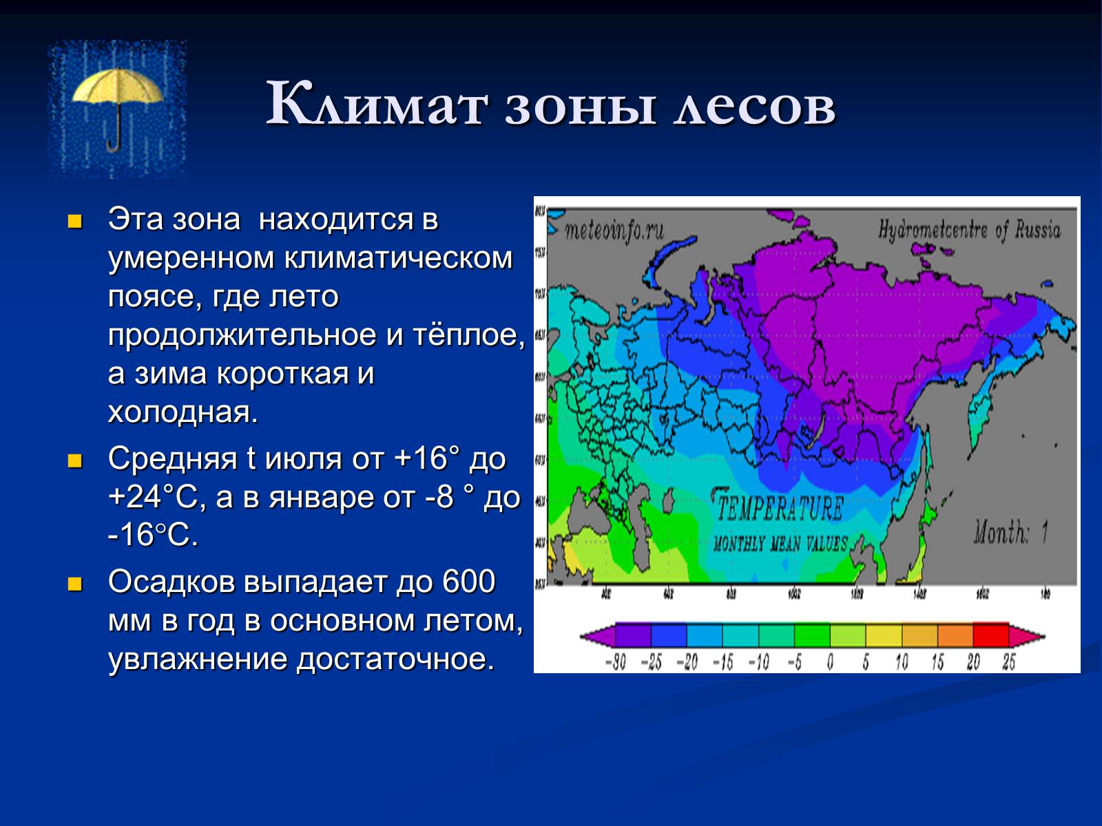 Презентація на тему «Природная зона смешанных и широколиственных лесов» - Слайд #4 Презентація на тему «Природная зона смешанных и широколиственных лесов» - Слайд #4