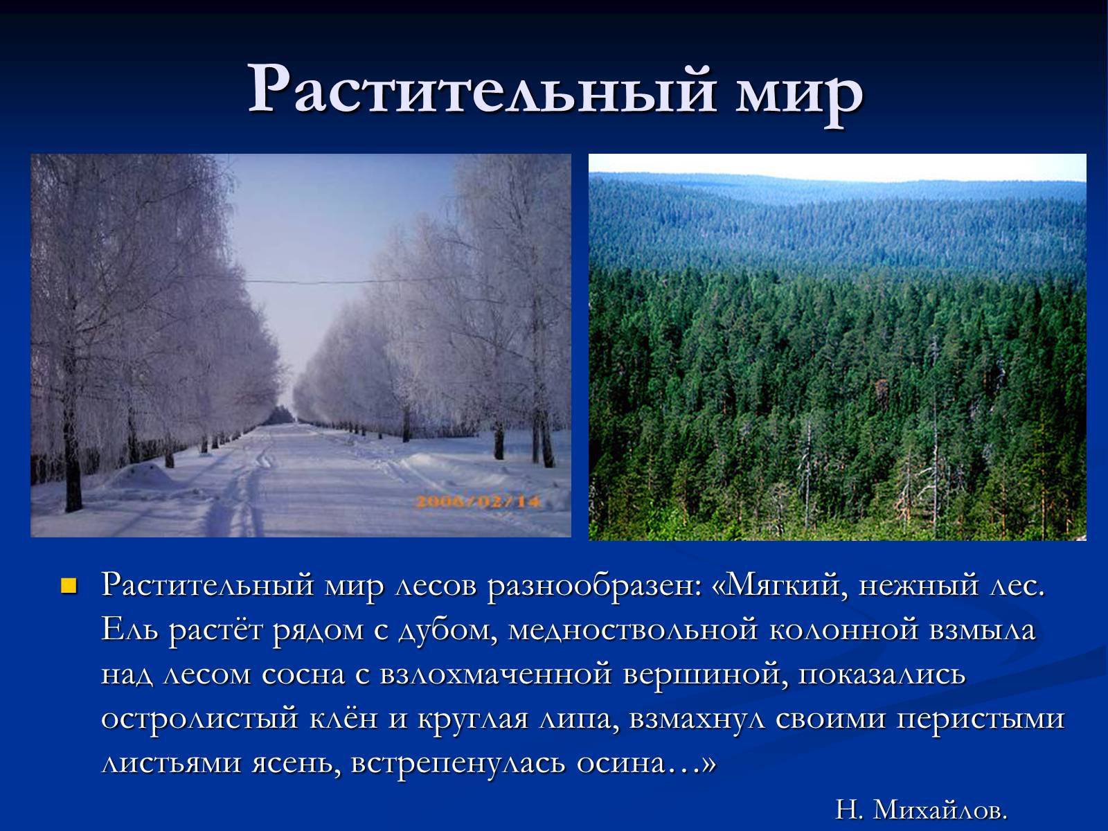Презентація на тему «Природная зона смешанных и широколиственных лесов» - Слайд #6 Презентація на тему «Природная зона смешанных и широколиственных лесов» - Слайд #6