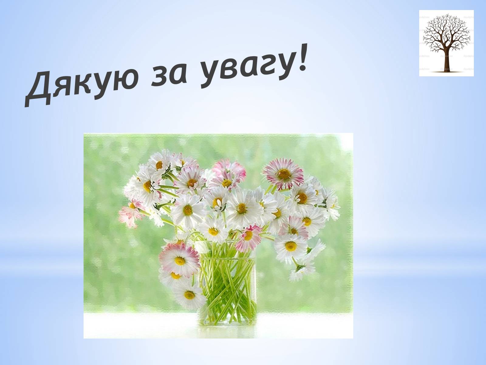 Презентація на тему «Заповідники Сумської області» - Слайд #14 Презентація на тему «Заповідники Сумської області» - Слайд #14