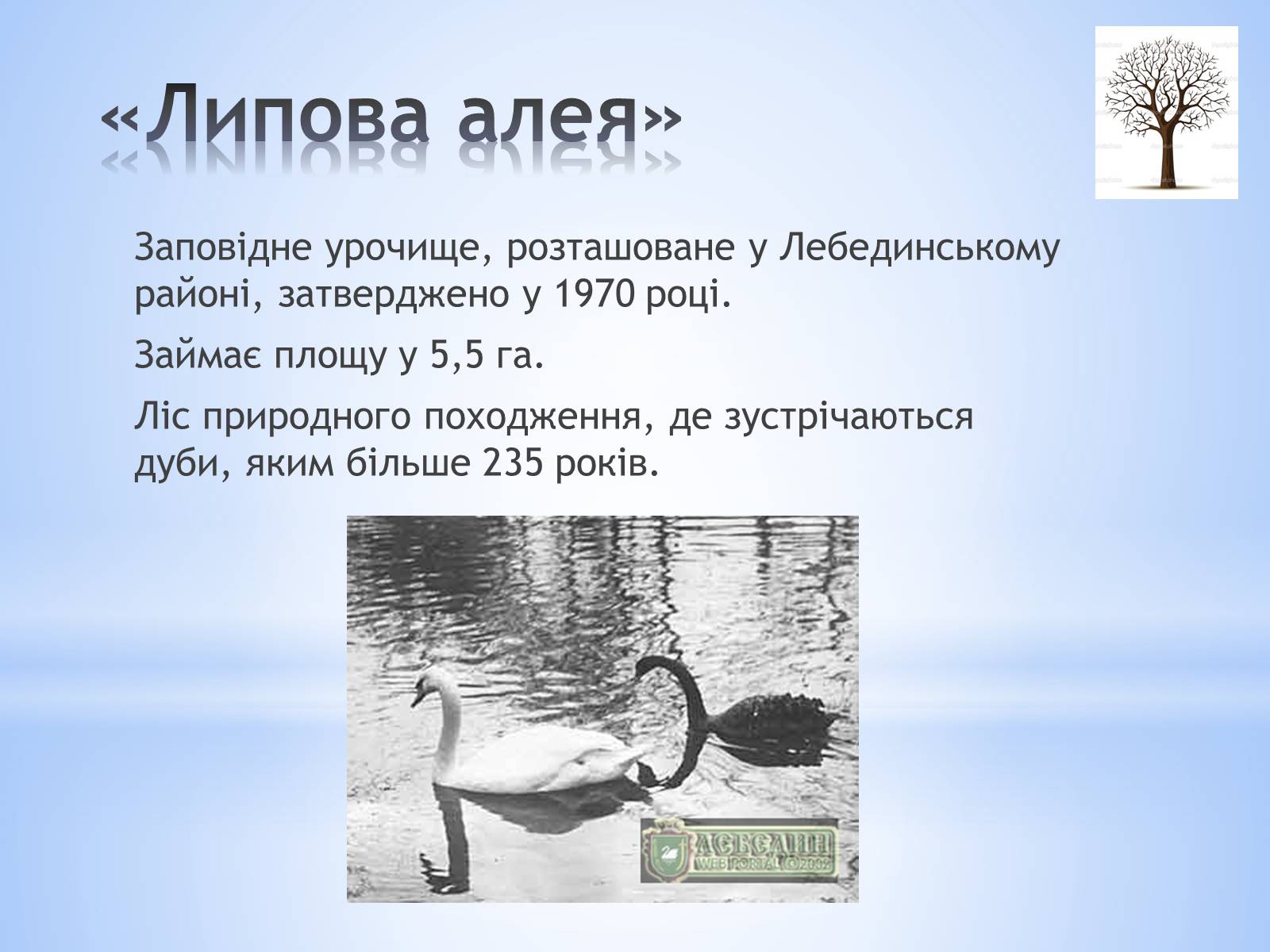 Презентація на тему «Заповідники Сумської області» - Слайд #8 Презентація на тему «Заповідники Сумської області» - Слайд #8