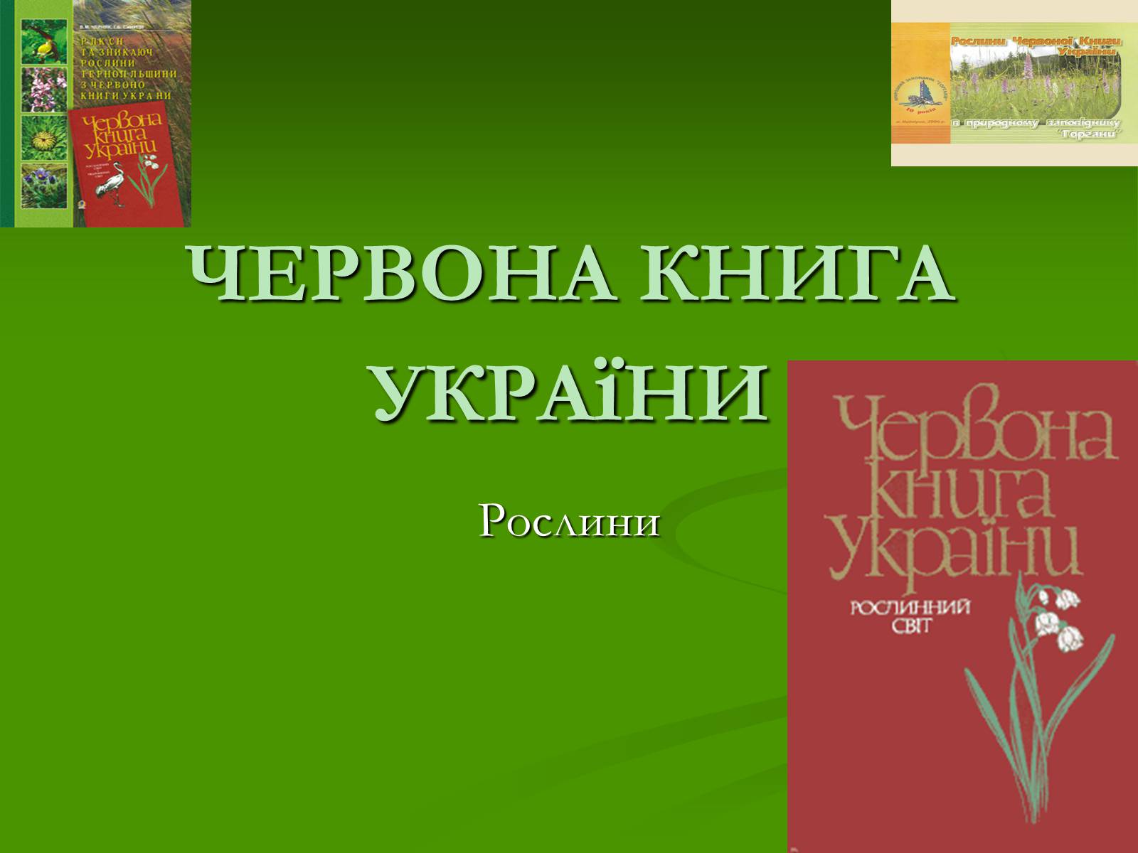 Презентація на тему «Червона книга України» (варіант 2) - Слайд #1 Презентація на тему «Червона книга України» (варіант 2) - Слайд #1