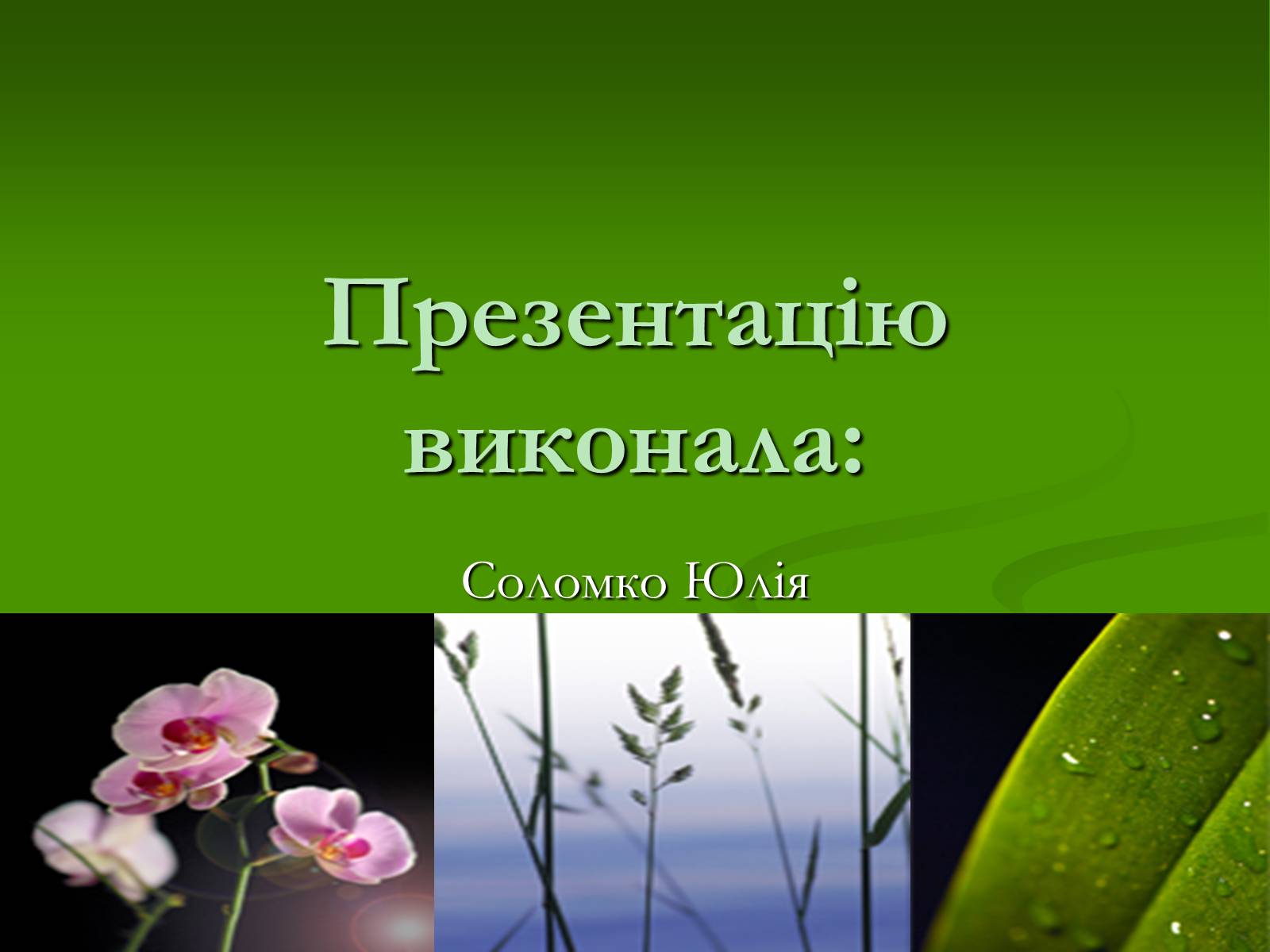 Презентація на тему «Червона книга України» (варіант 2) - Слайд #11 Презентація на тему «Червона книга України» (варіант 2) - Слайд #11