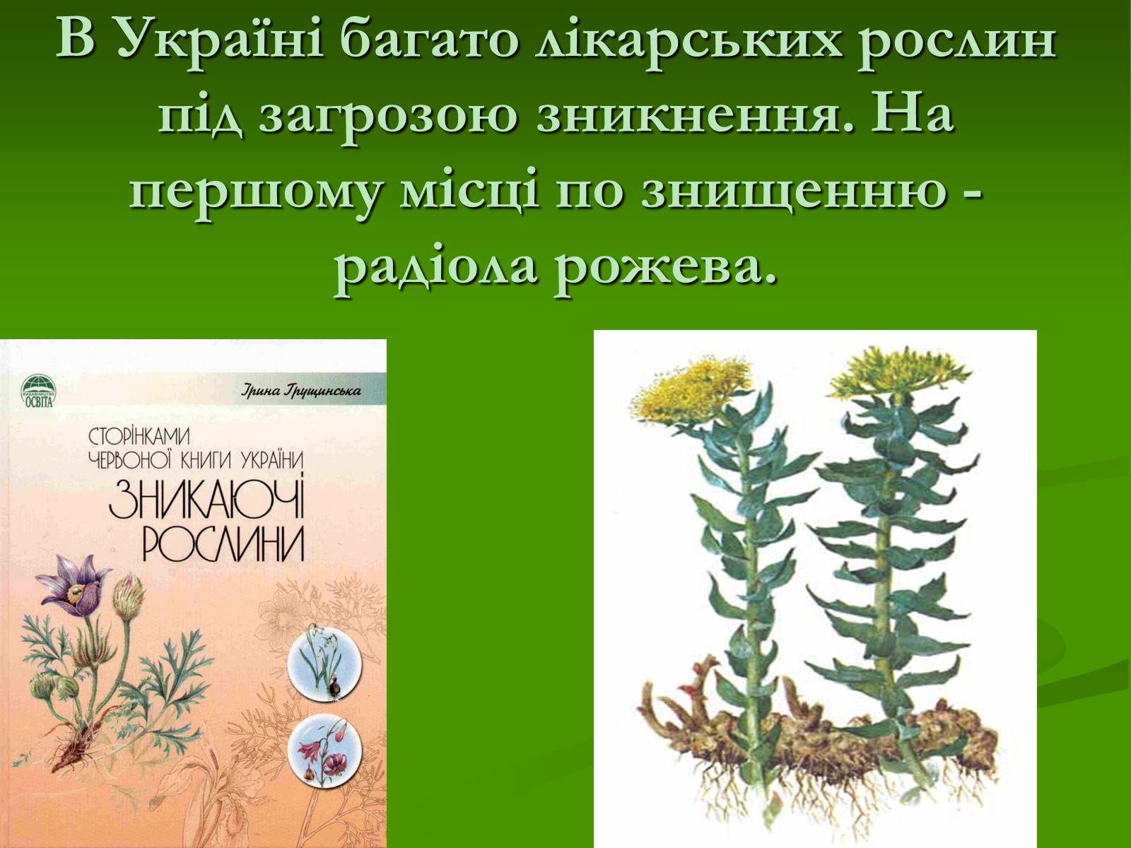 Презентація на тему «Червона книга України» (варіант 2) - Слайд #9 Презентація на тему «Червона книга України» (варіант 2) - Слайд #9