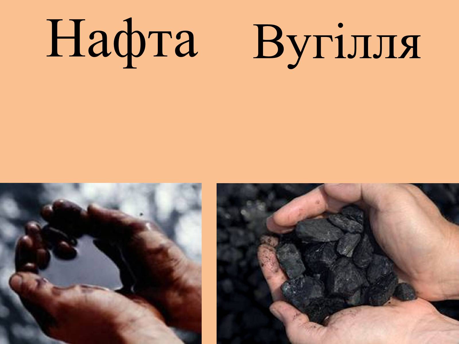 Презентація на тему «Корисні копалини на території України» - Слайд #4 Презентація на тему «Корисні копалини на території України» - Слайд #4