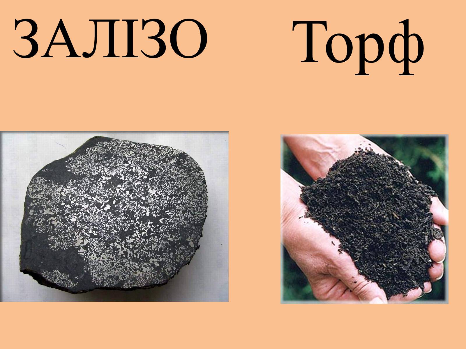 Презентація на тему «Корисні копалини на території України» - Слайд #7 Презентація на тему «Корисні копалини на території України» - Слайд #7