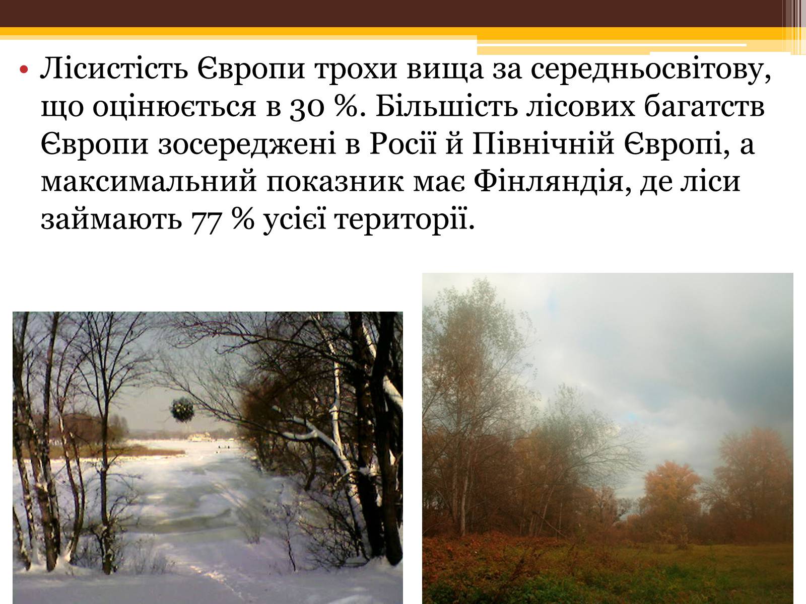 Презентація на тему «Загальна характеристика Європи» (варіант 1) - Слайд #5 Презентація на тему «Загальна характеристика Європи» (варіант 1) - Слайд #5
