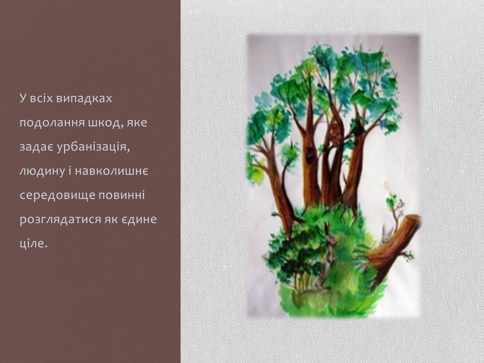 Презентація на тему «Урбанізація та її наслідки» (варіант 1) - Слайд #13 Презентація на тему «Урбанізація та її наслідки» (варіант 1) - Слайд #13