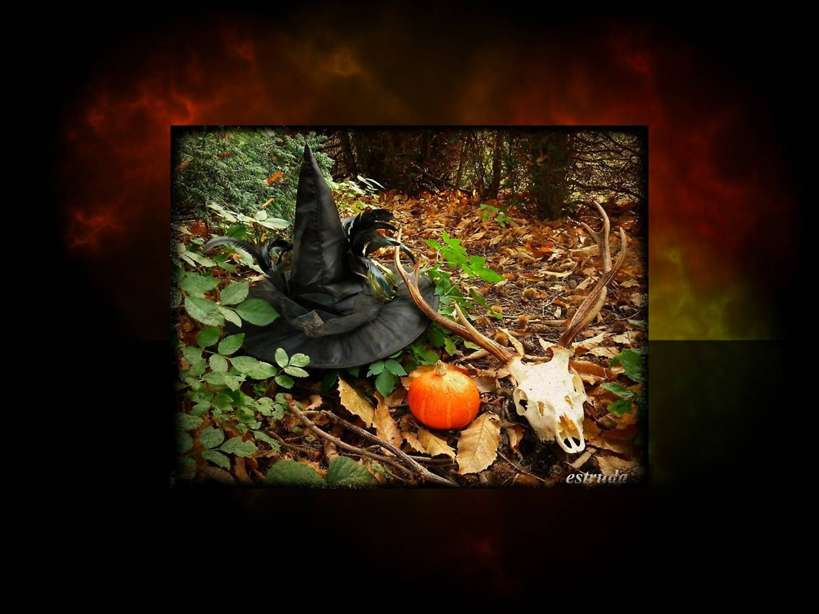 Презентація на тему «Halloween» (варіант 4) - Слайд #20 Презентація на тему «Halloween» (варіант 4) - Слайд #20