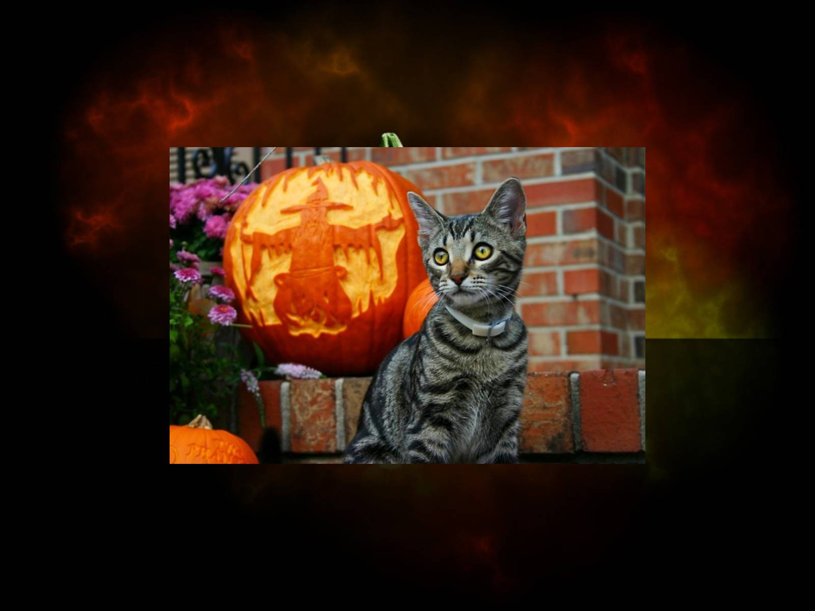 Презентація на тему «Halloween» (варіант 4) - Слайд #21 Презентація на тему «Halloween» (варіант 4) - Слайд #21