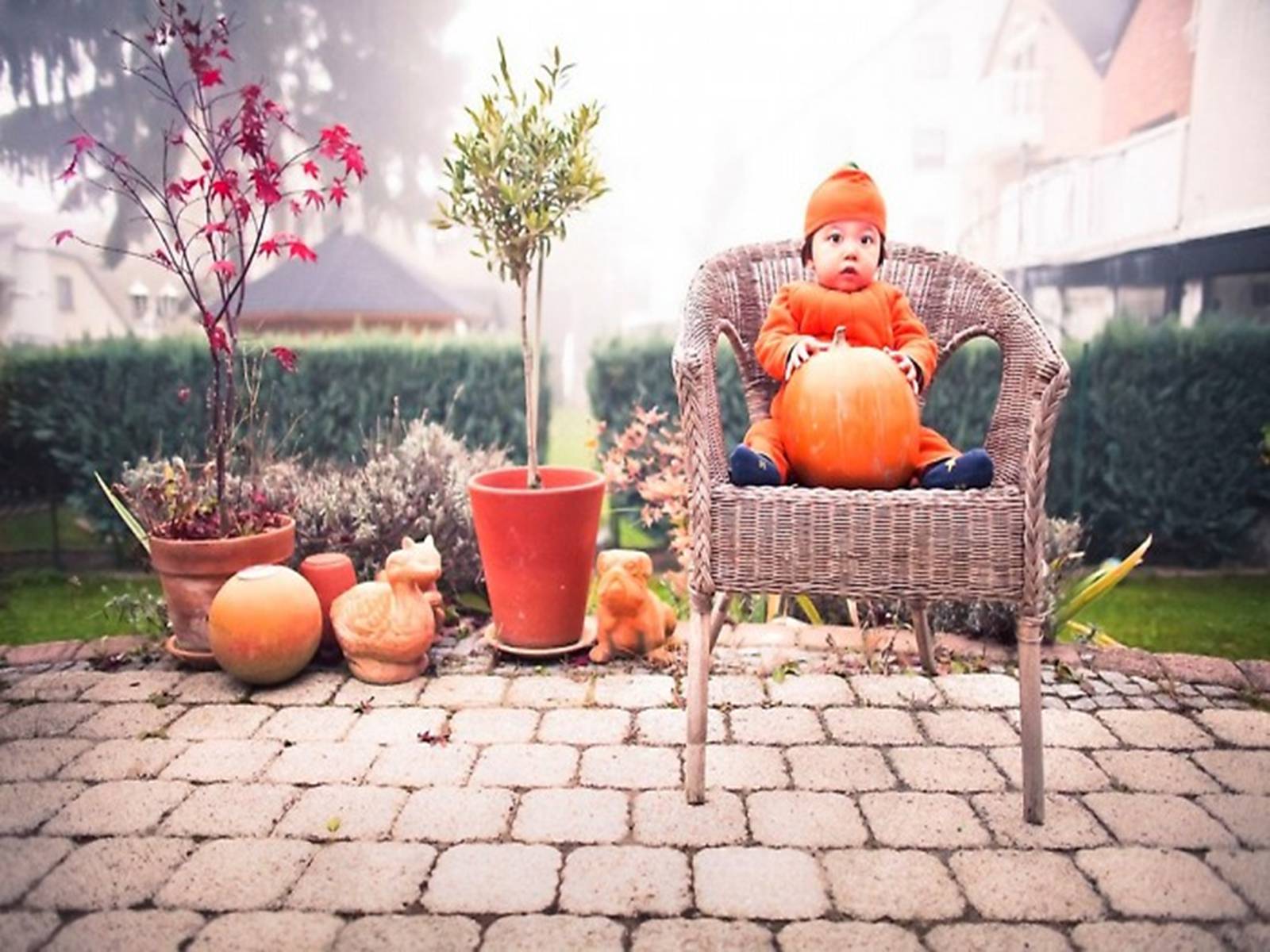 Презентація на тему «Halloween» (варіант 4) - Слайд #27 Презентація на тему «Halloween» (варіант 4) - Слайд #27