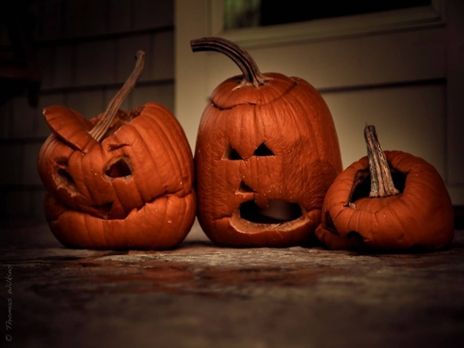 Презентація на тему «Halloween» (варіант 4) - Слайд #8 Презентація на тему «Halloween» (варіант 4) - Слайд #8