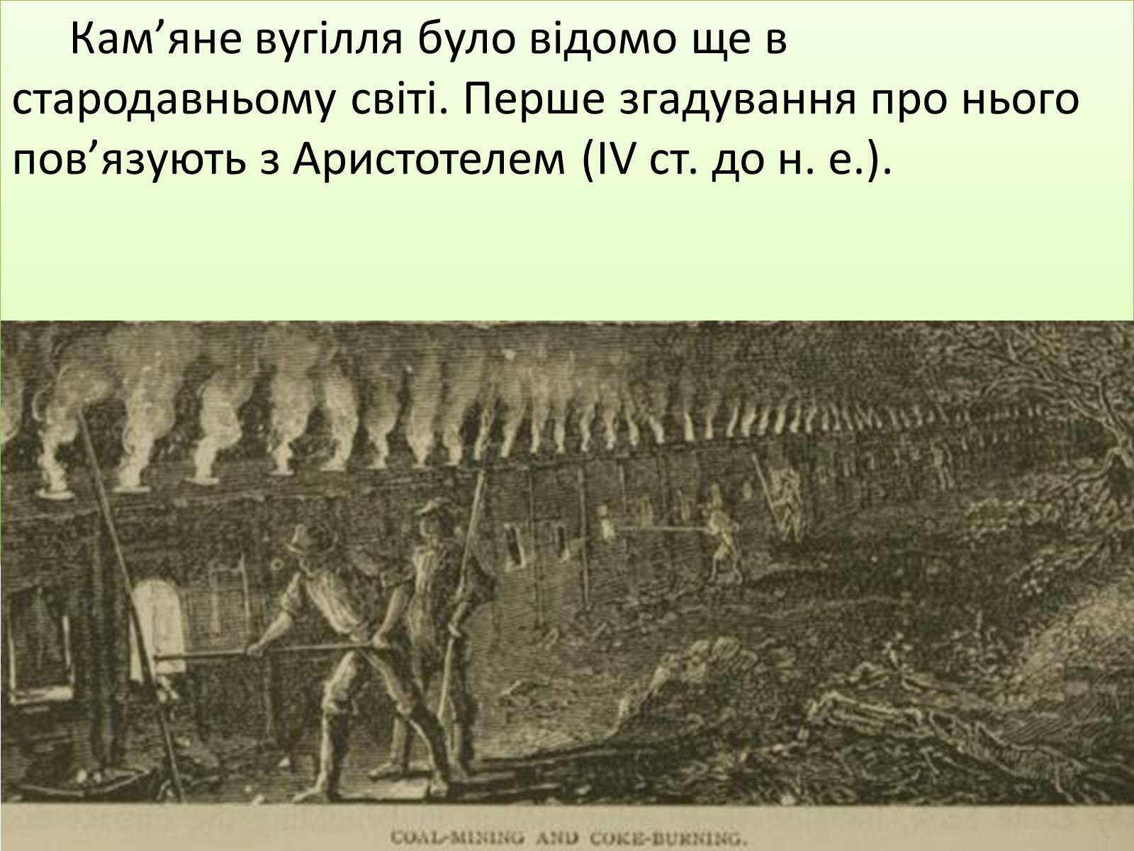 Презентація на тему «Кам*яне вугілля» (варіант 3) - Слайд #3 Презентація на тему «Кам*яне вугілля» (варіант 3) - Слайд #3