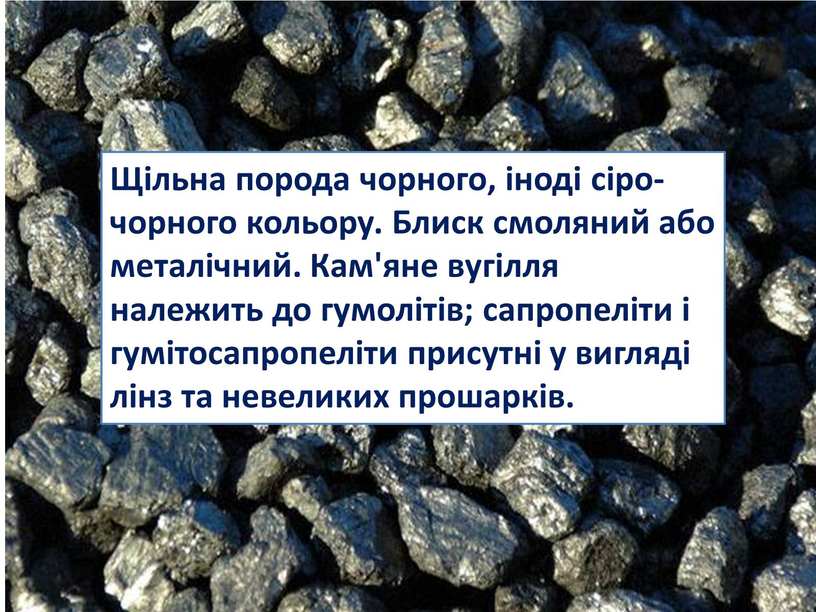 Презентація на тему «Кам*яне вугілля» (варіант 3) - Слайд #4 Презентація на тему «Кам*яне вугілля» (варіант 3) - Слайд #4