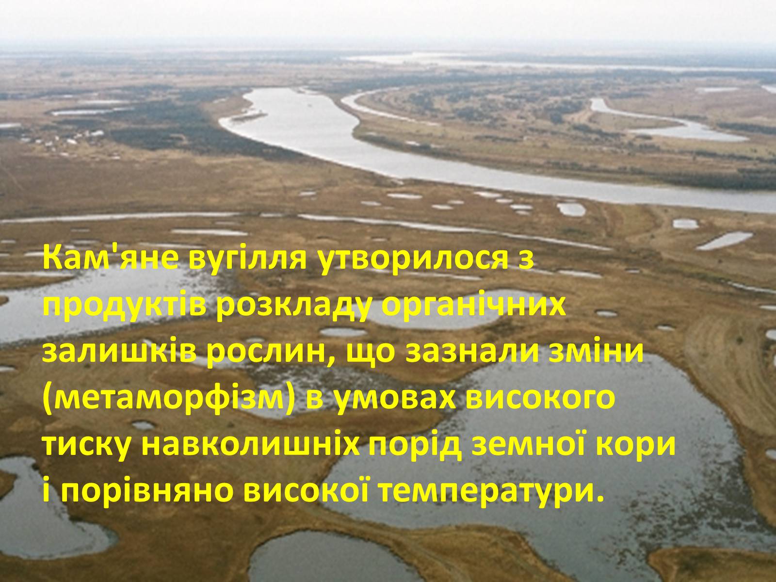 Презентація на тему «Кам*яне вугілля» (варіант 3) - Слайд #7 Презентація на тему «Кам*яне вугілля» (варіант 3) - Слайд #7