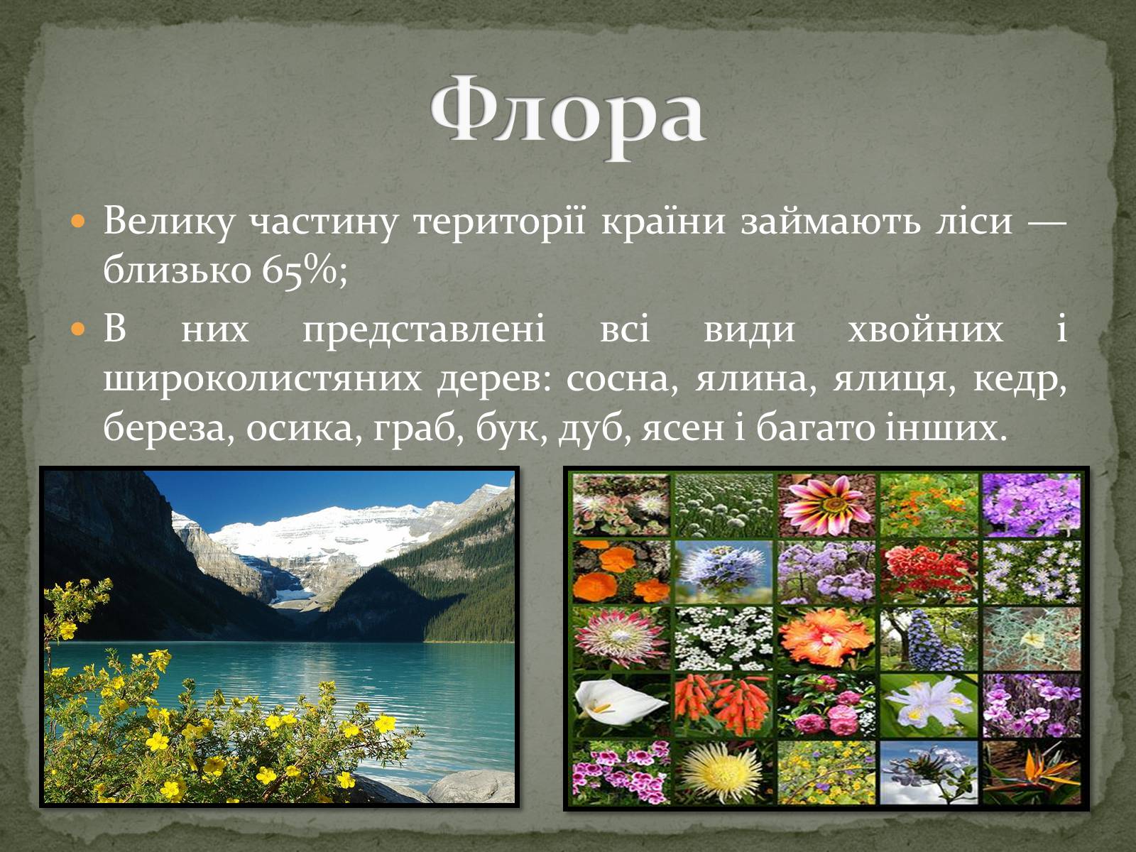 Презентація на тему «Російська Федерація» (варіант 2) - Слайд #6 Презентація на тему «Російська Федерація» (варіант 2) - Слайд #6