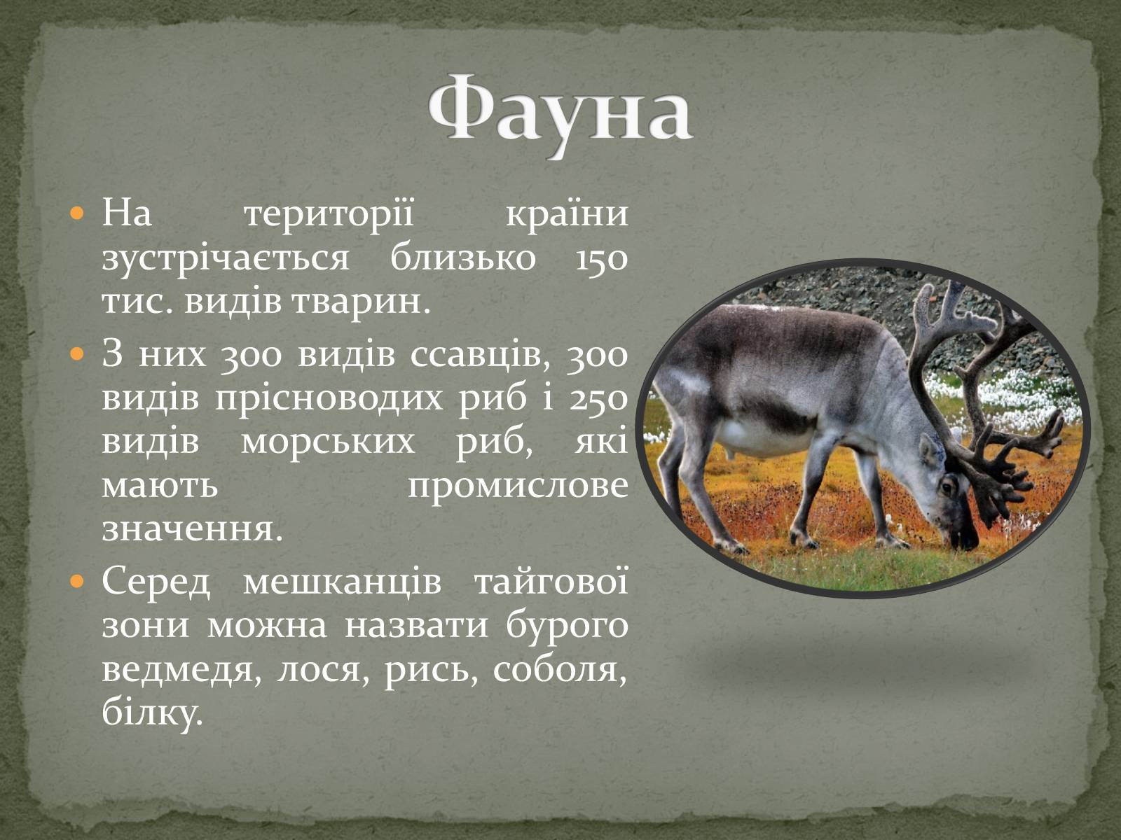 Презентація на тему «Російська Федерація» (варіант 2) - Слайд #7 Презентація на тему «Російська Федерація» (варіант 2) - Слайд #7