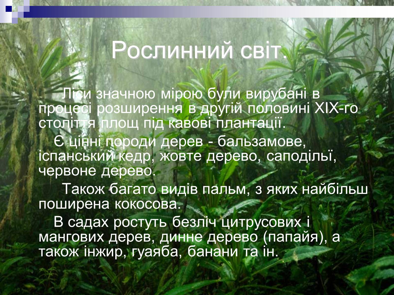 Презентація на тему «Сальвадор» - Слайд #12 Презентація на тему «Сальвадор» - Слайд #12