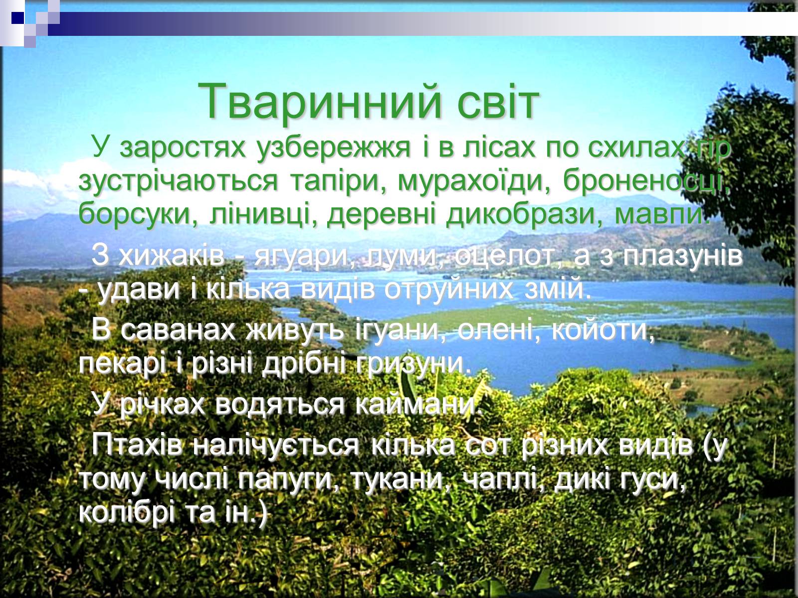 Презентація на тему «Сальвадор» - Слайд #13 Презентація на тему «Сальвадор» - Слайд #13