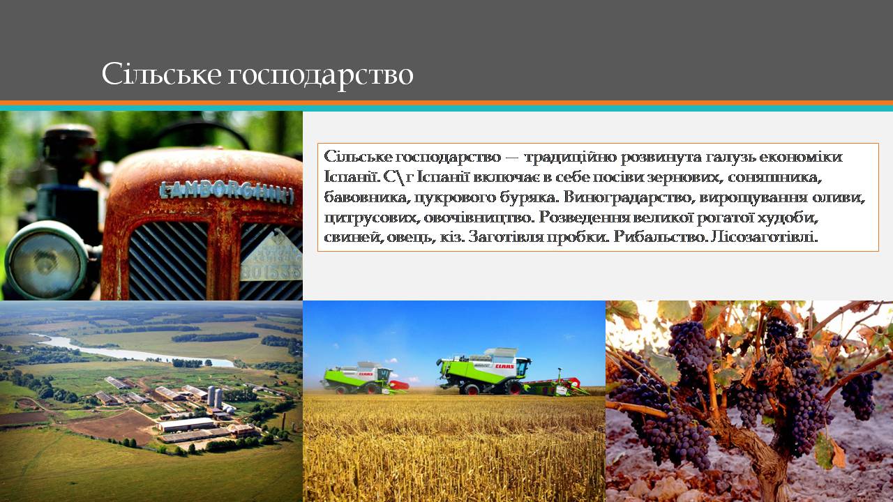 Презентація на тему «Королівство Іспанія» - Слайд #15 Презентація на тему «Королівство Іспанія» - Слайд #15