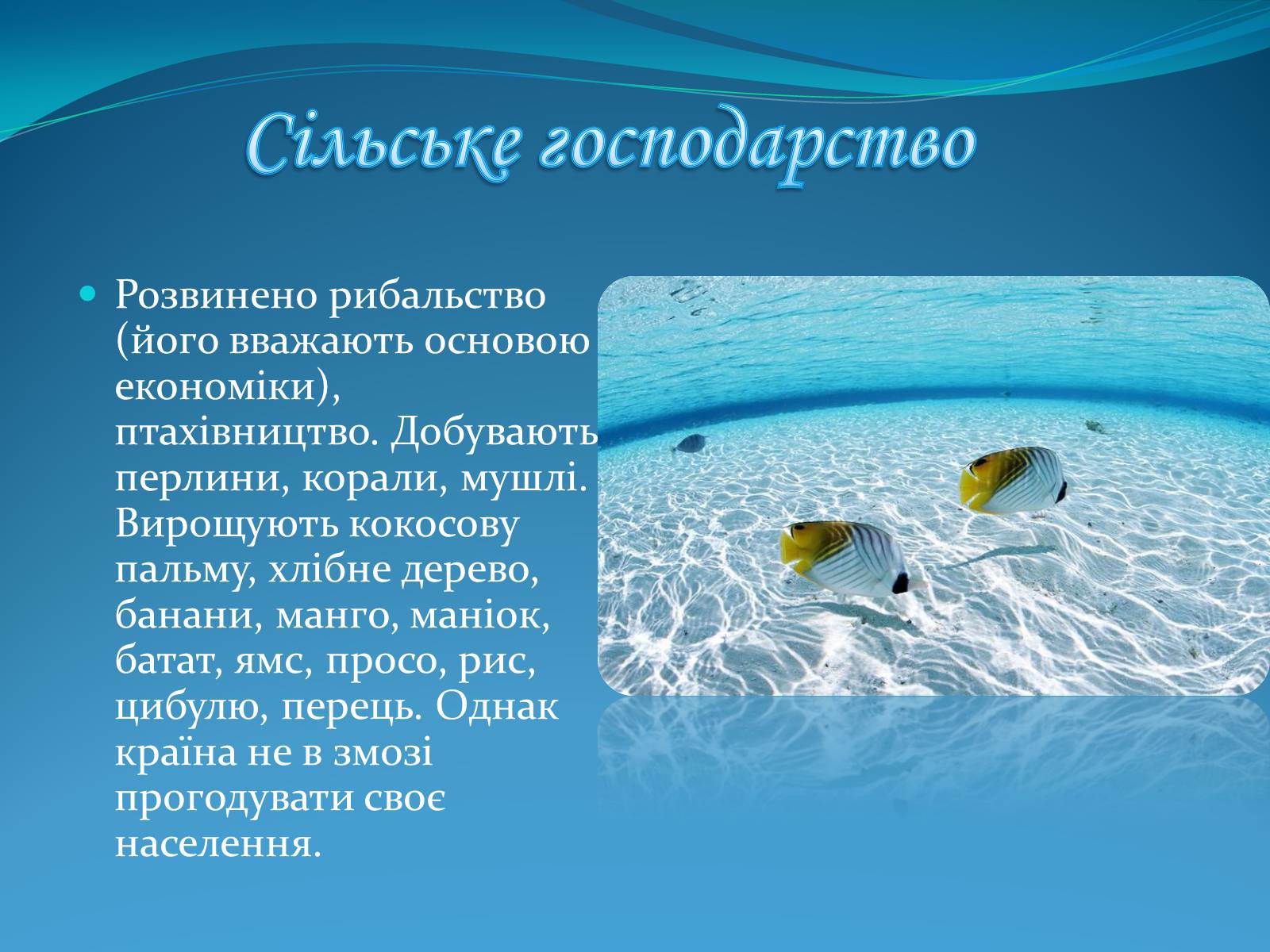 Презентація на тему «Мальдівська Республіка» - Слайд #7 Презентація на тему «Мальдівська Республіка» - Слайд #7