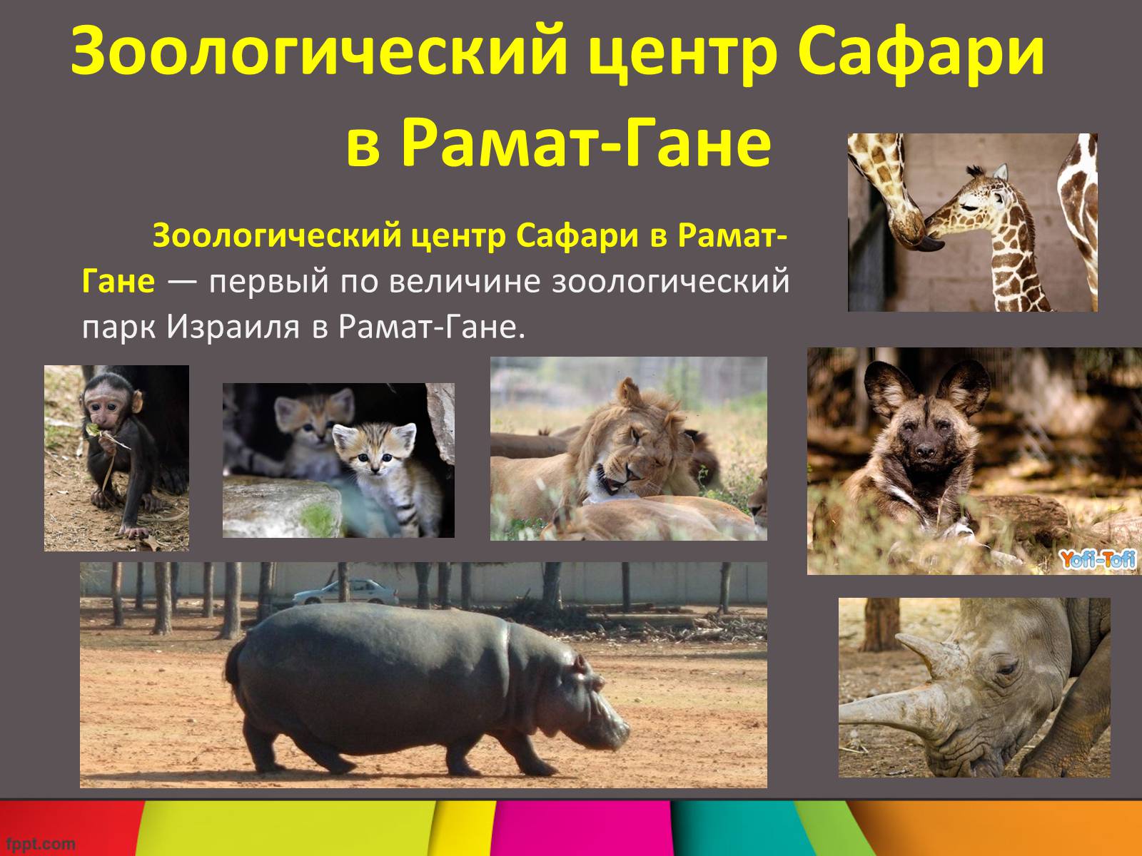 Презентація на тему «Израиль» - Слайд #6 Презентація на тему «Израиль» - Слайд #6
