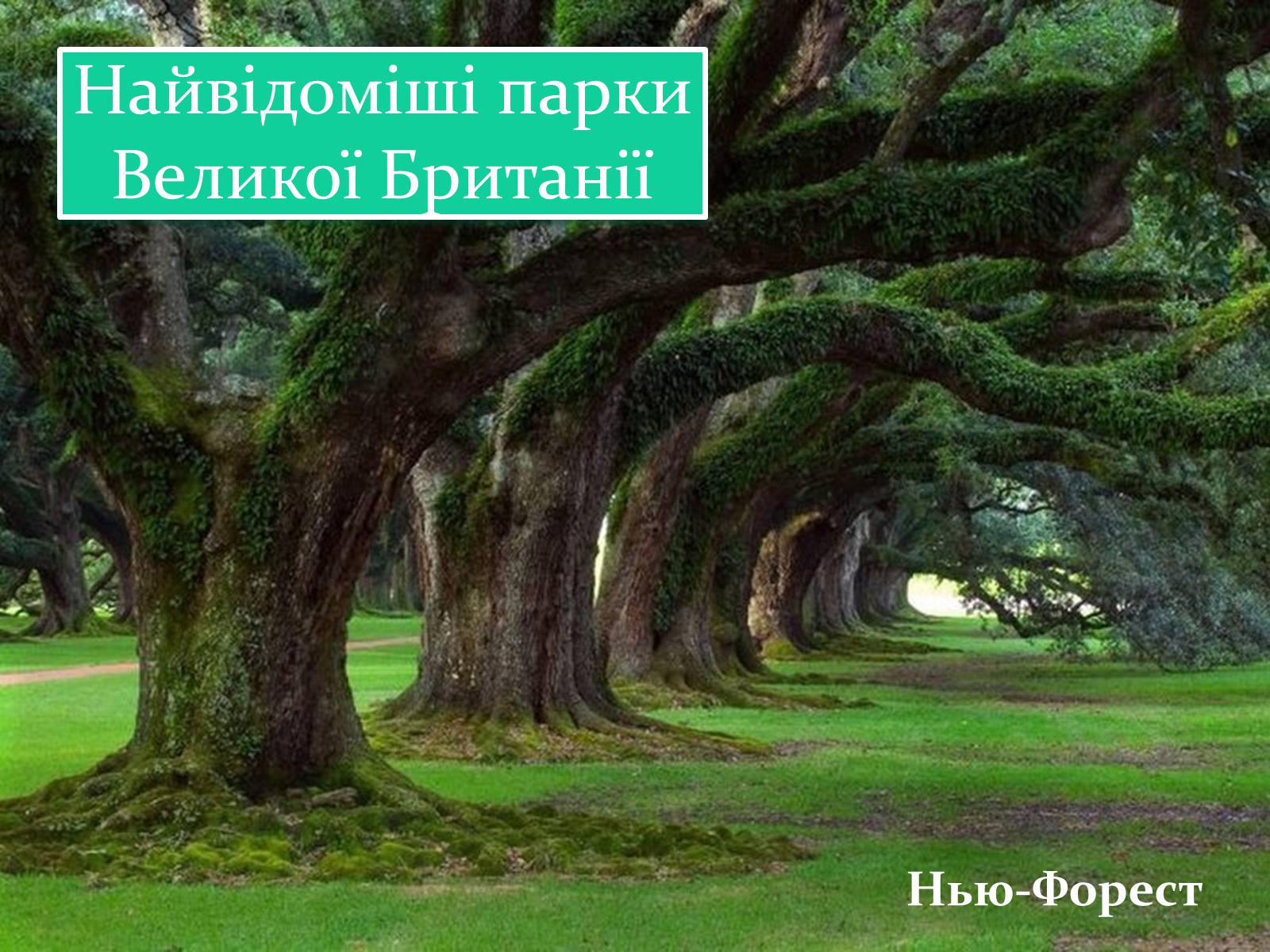 Презентація на тему «Природні парки Великої Британії» (варіант 1) - Слайд #7 Презентація на тему «Природні парки Великої Британії» (варіант 1) - Слайд #7