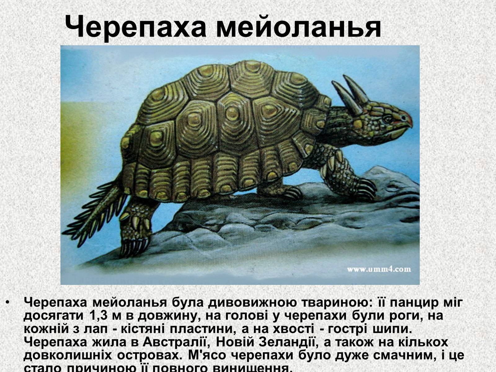Презентація на тему «Вимерлі тварини» - Слайд #5 Презентація на тему «Вимерлі тварини» - Слайд #5