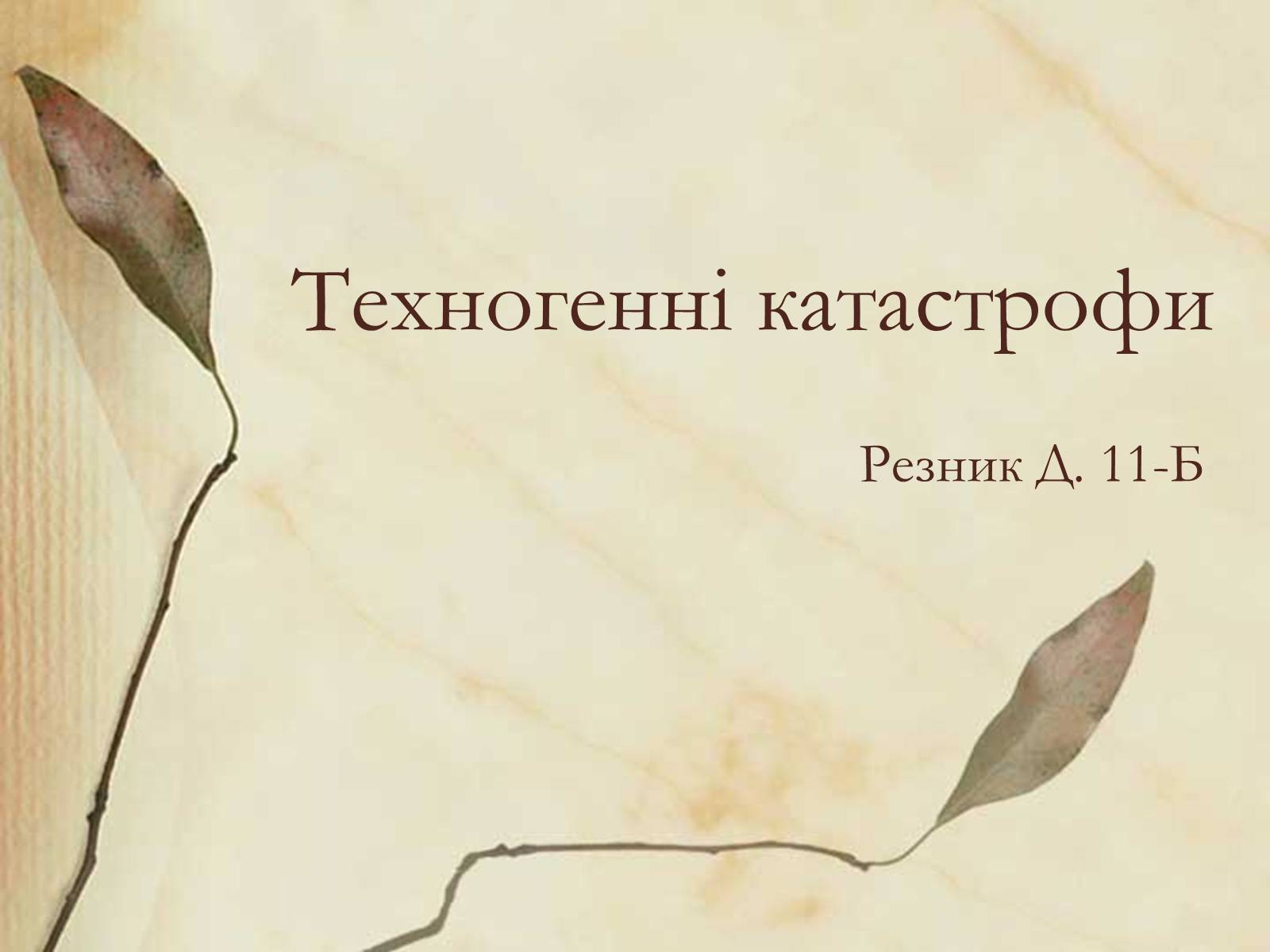 Презентація на тему «Техногенні катастрофи» (варіант 1) - Слайд #1 Презентація на тему «Техногенні катастрофи» (варіант 1) - Слайд #1