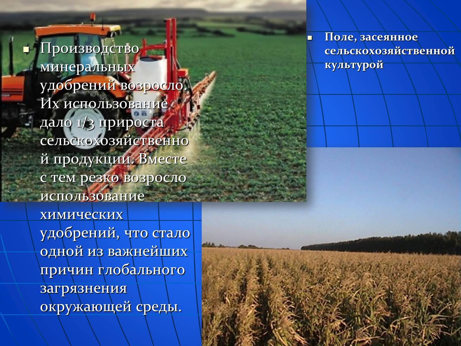 Презентація на тему «Глобальные экологические проблемы» (варіант 2) - Слайд #11 Презентація на тему «Глобальные экологические проблемы» (варіант 2) - Слайд #11