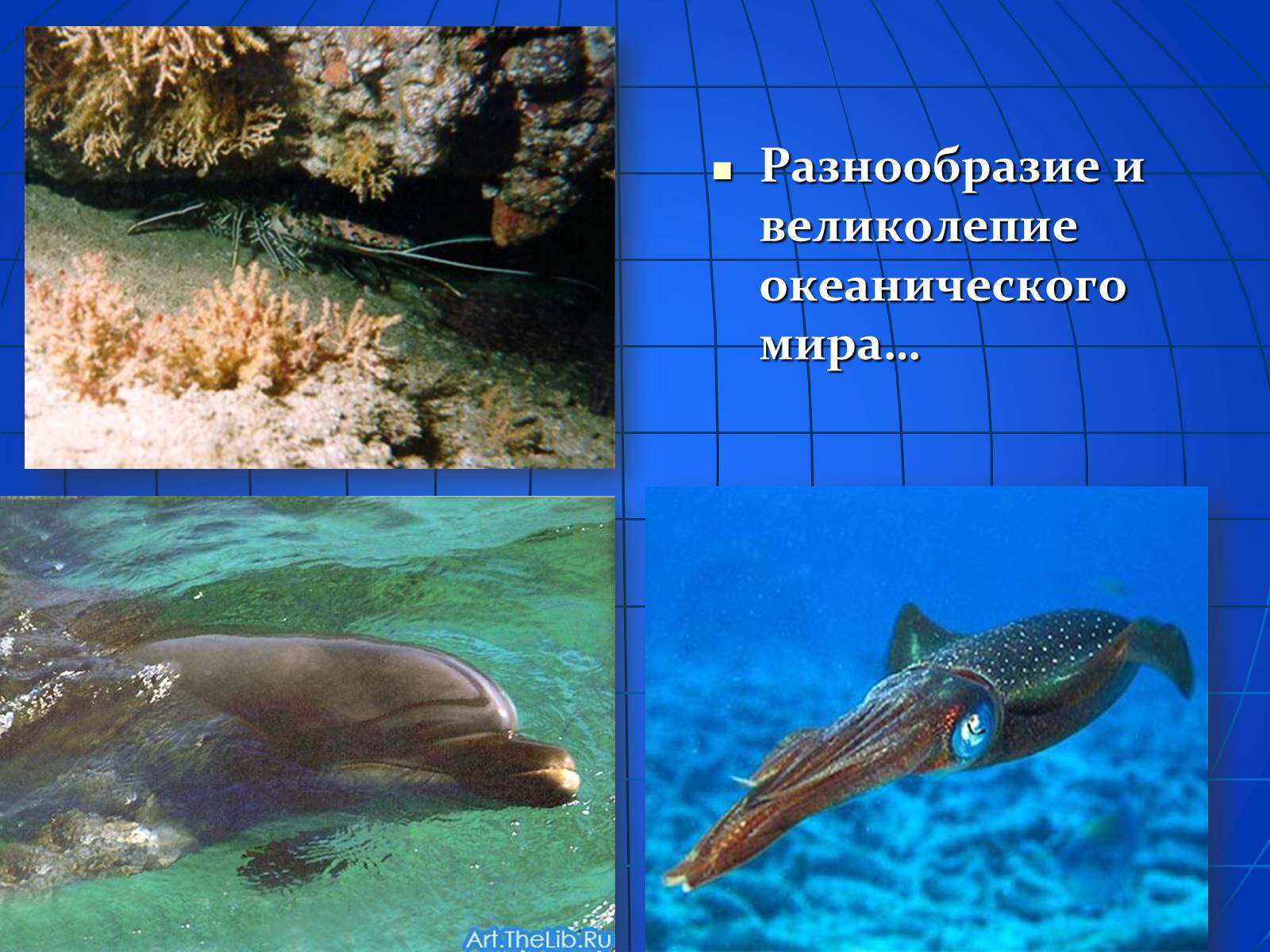 Презентація на тему «Глобальные экологические проблемы» (варіант 2) - Слайд #25 Презентація на тему «Глобальные экологические проблемы» (варіант 2) - Слайд #25