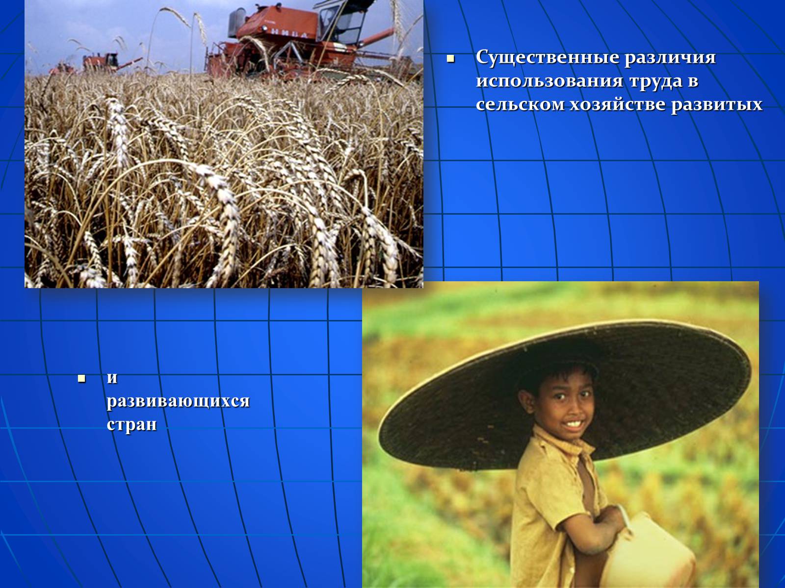Презентація на тему «Глобальные экологические проблемы» (варіант 2) - Слайд #37 Презентація на тему «Глобальные экологические проблемы» (варіант 2) - Слайд #37