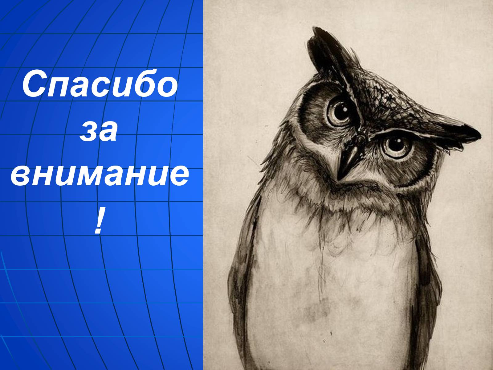 Презентація на тему «Глобальные экологические проблемы» (варіант 2) - Слайд #45 Презентація на тему «Глобальные экологические проблемы» (варіант 2) - Слайд #45