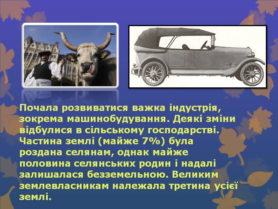Презентація на тему «Угорщина» (варіант 14) - Слайд #10 Презентація на тему «Угорщина» (варіант 14) - Слайд #10