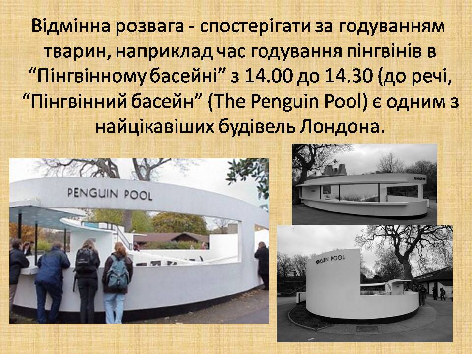 Презентація на тему «Лондонський зоопарк» - Слайд #11 Презентація на тему «Лондонський зоопарк» - Слайд #11