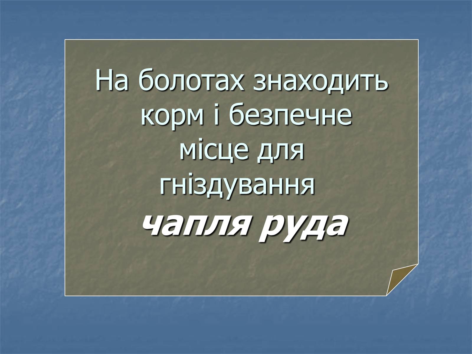 Презентація на тему «Болото» - Слайд #22 Презентація на тему «Болото» - Слайд #22
