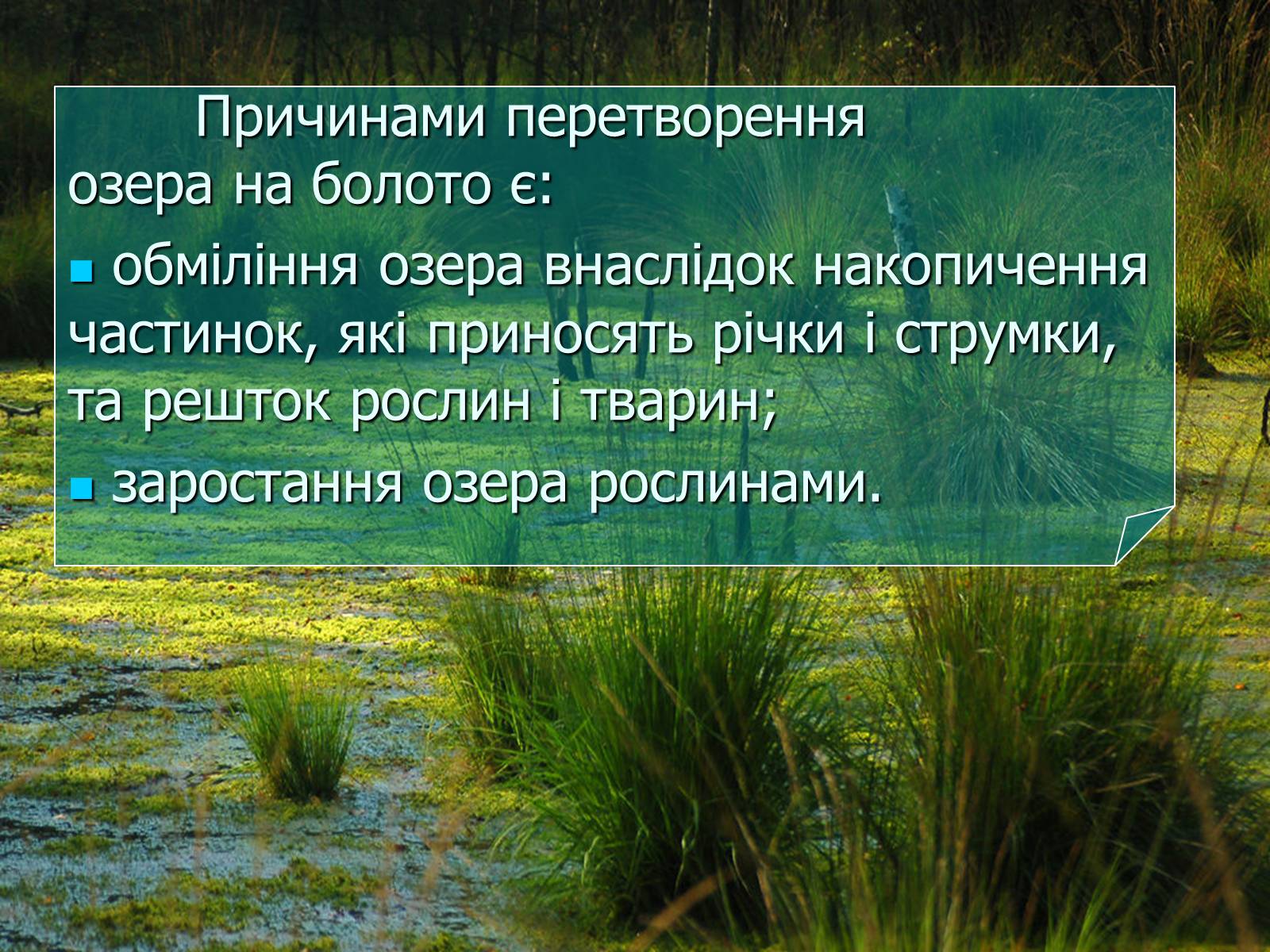 Презентація на тему «Болото» - Слайд #35 Презентація на тему «Болото» - Слайд #35