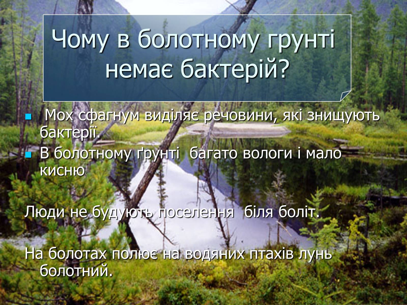 Презентація на тему «Болото» - Слайд #37 Презентація на тему «Болото» - Слайд #37