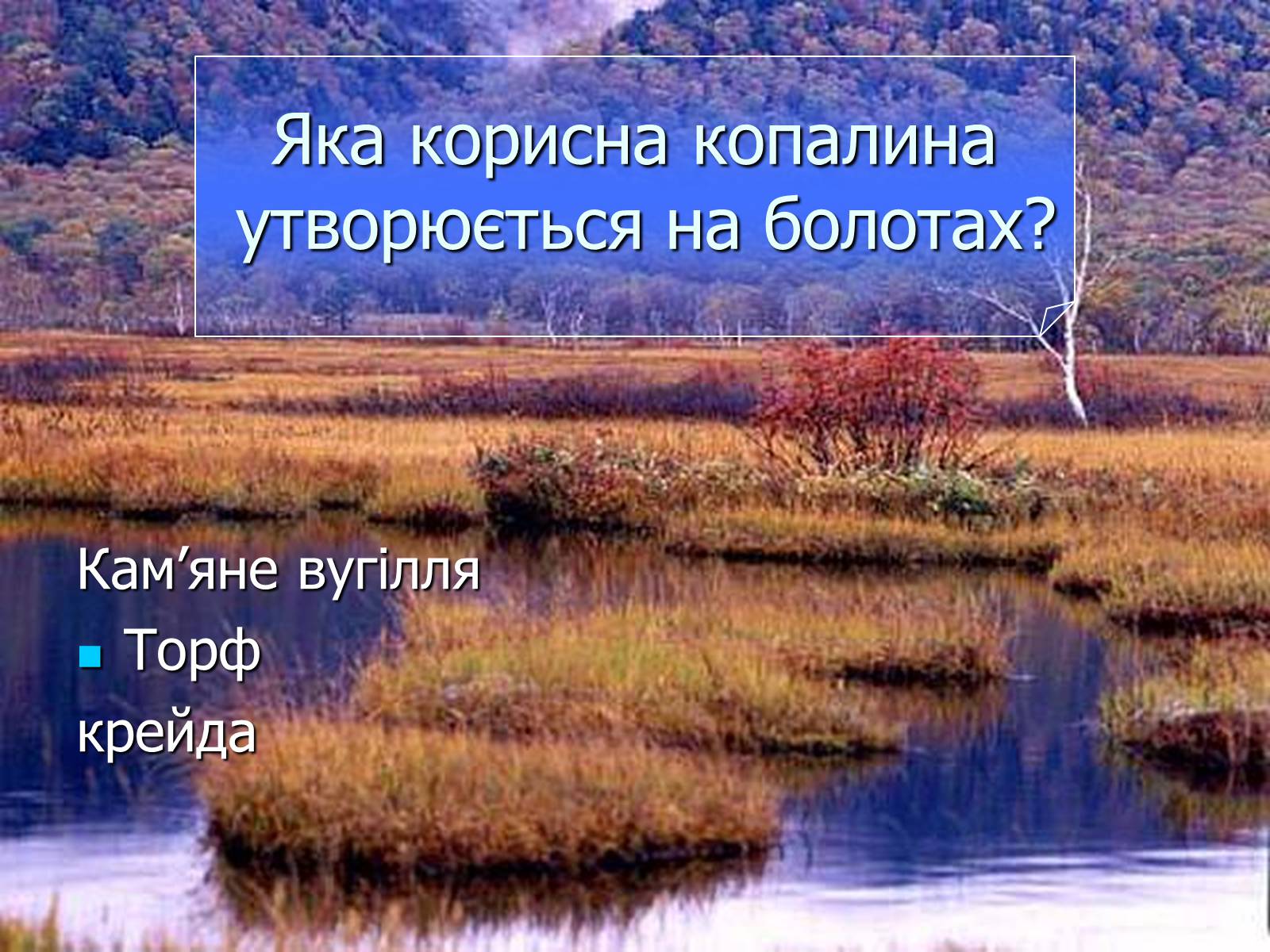 Презентація на тему «Болото» - Слайд #38 Презентація на тему «Болото» - Слайд #38