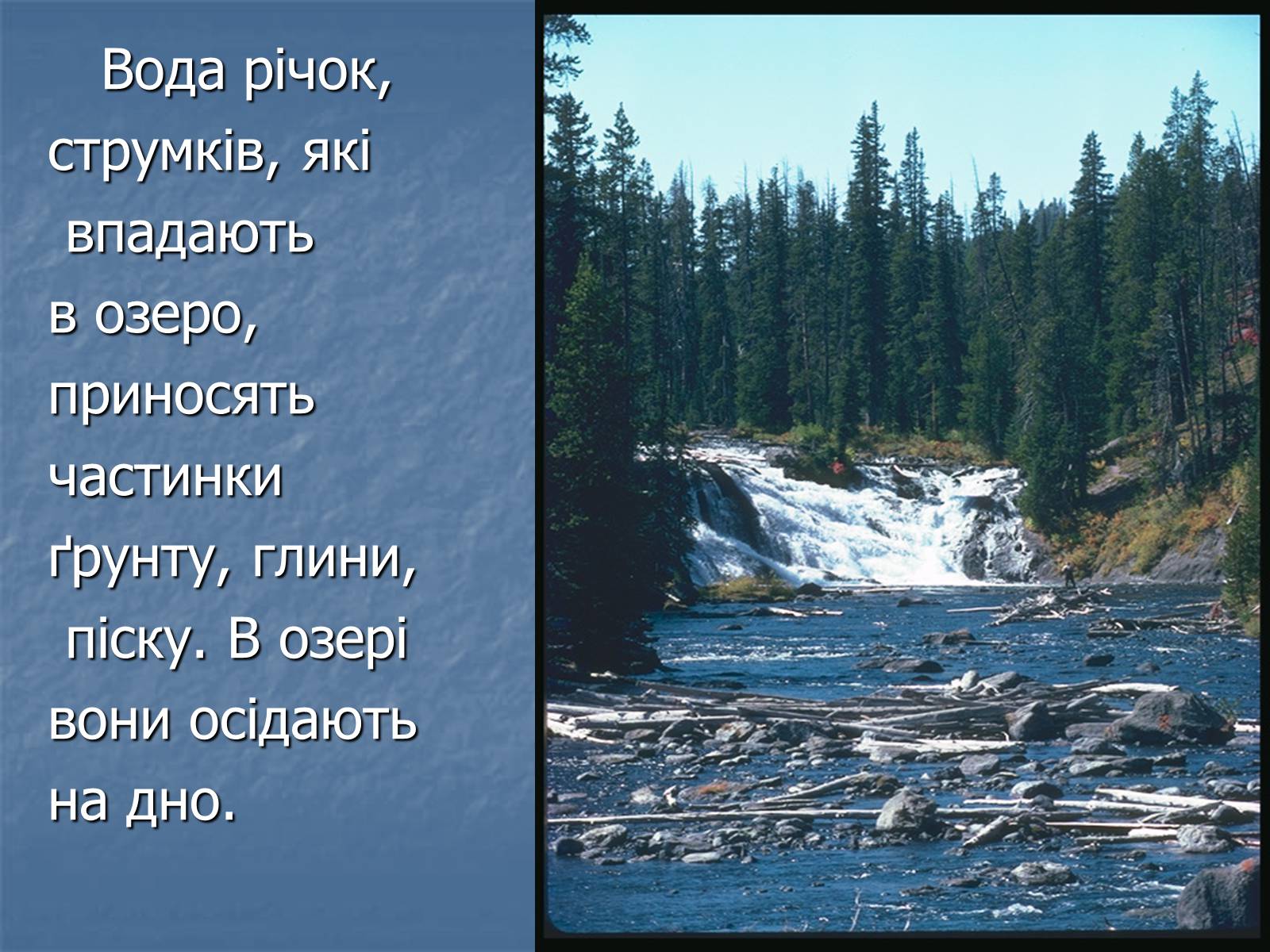 Презентація на тему «Болото» - Слайд #4 Презентація на тему «Болото» - Слайд #4