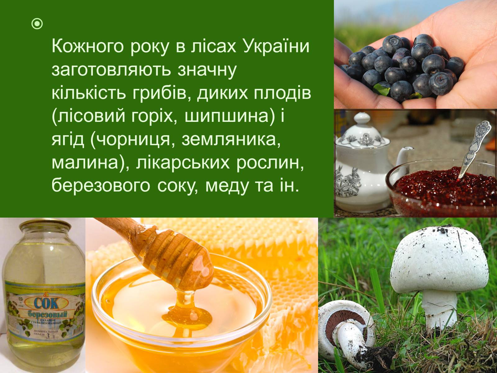 Презентація на тему «Лісові ресурси» (варіант 1) - Слайд #12 Презентація на тему «Лісові ресурси» (варіант 1) - Слайд #12