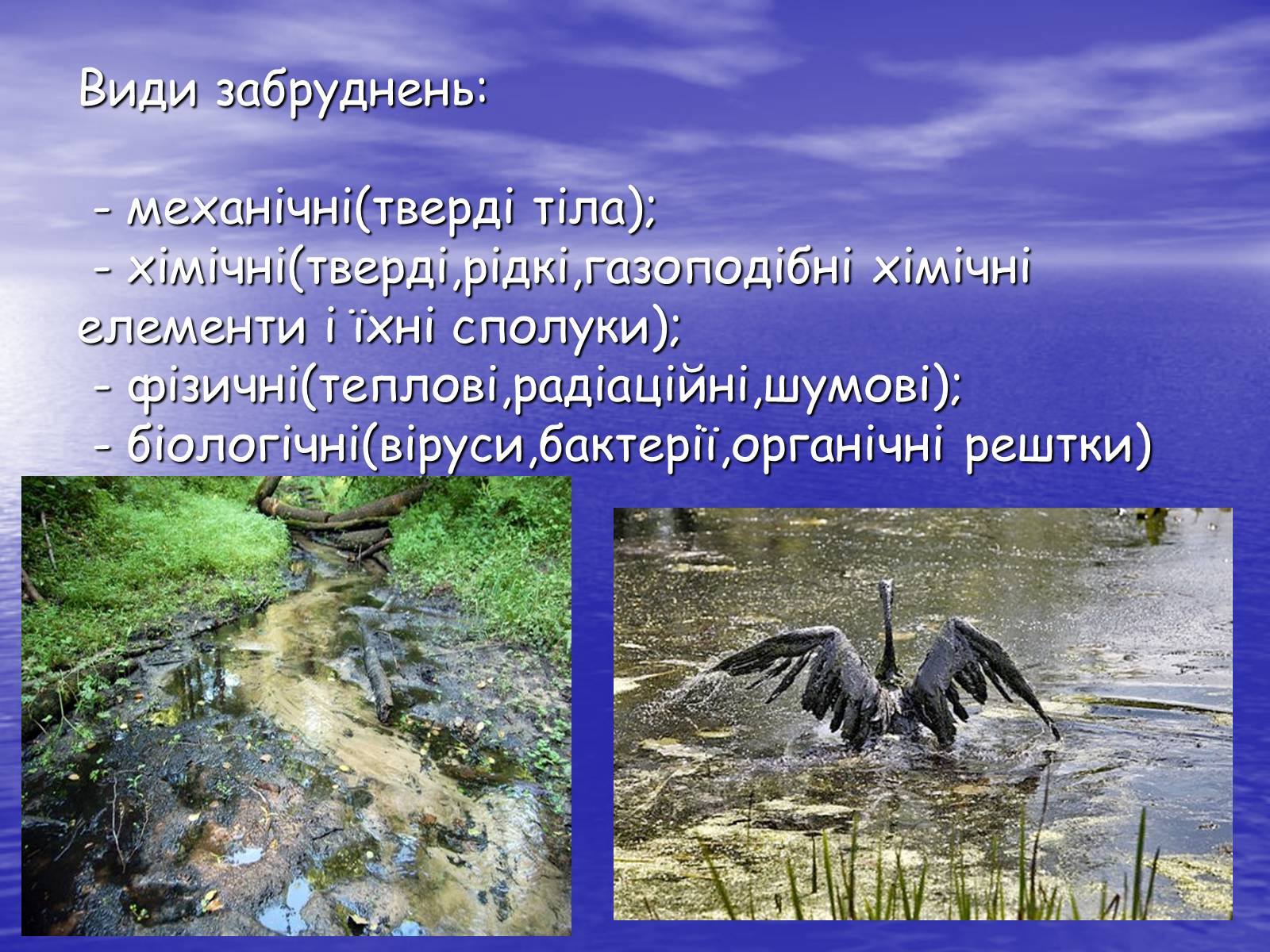 Презентація на тему «Основні антропогенні джерела забруднення навколишнього середовища» (варіант 3) - Слайд #5 Презентація на тему «Основні антропогенні джерела забруднення навколишнього середовища» (варіант 3) - Слайд #5