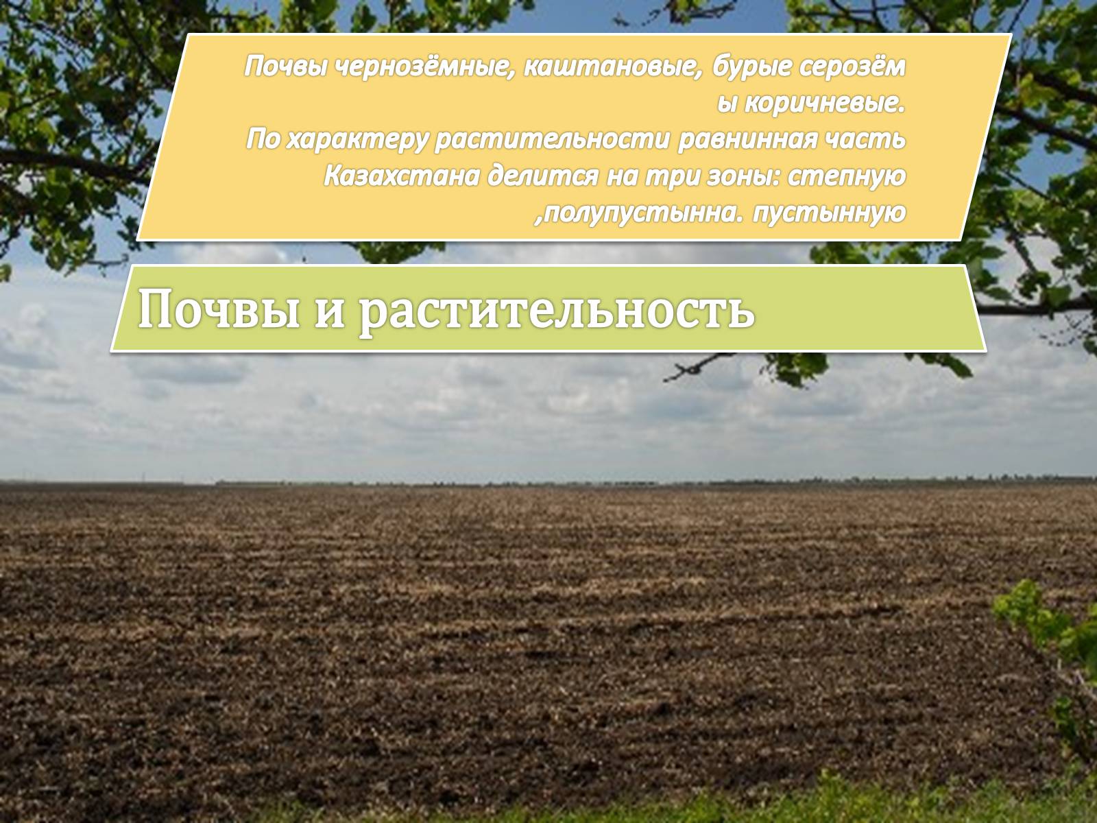 Презентація на тему «Казахстан» (варіант 4) - Слайд #10 Презентація на тему «Казахстан» (варіант 4) - Слайд #10