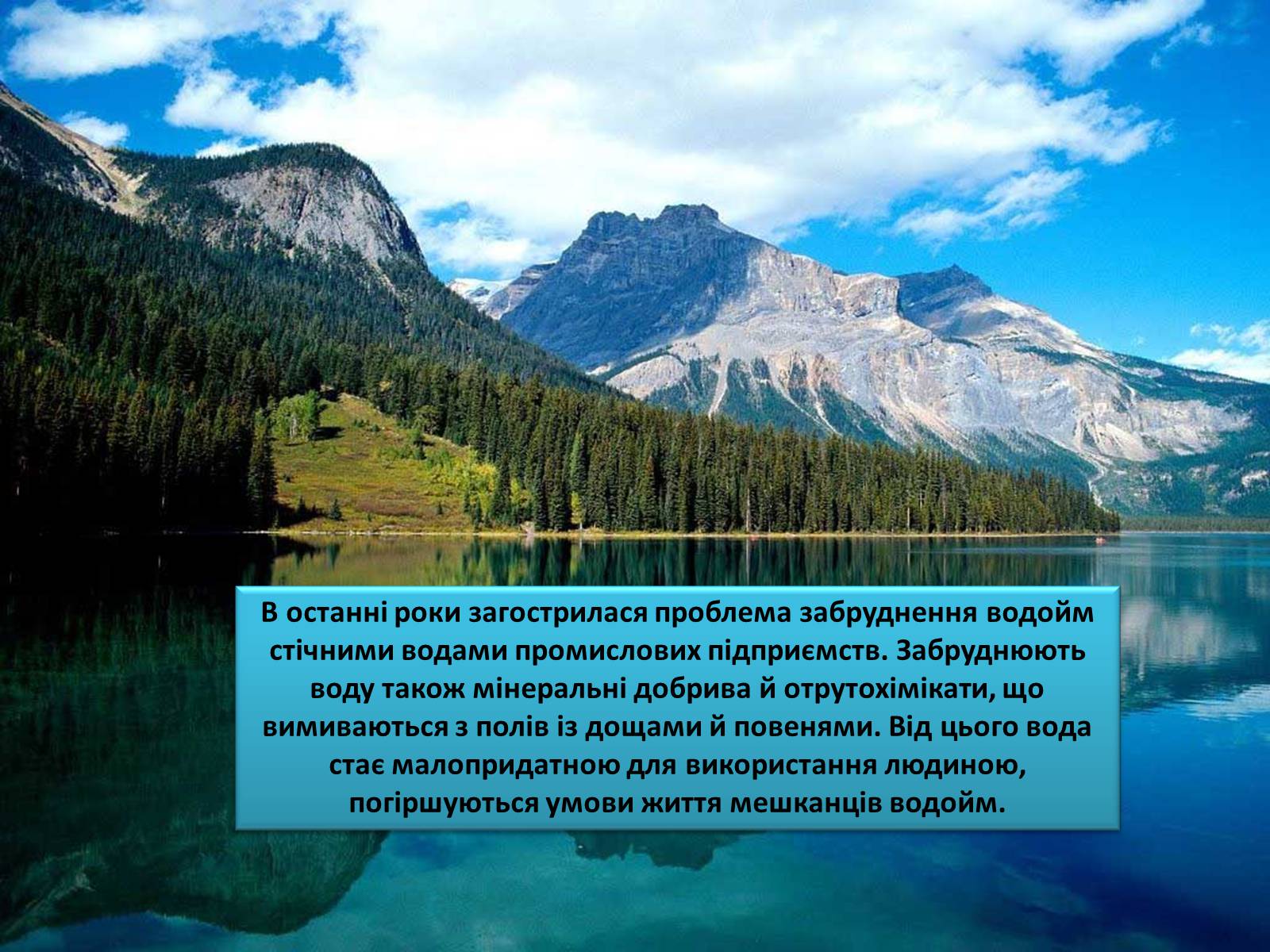 Презентація на тему «Людина і біосфера. Охорона біосфери» (варіант 3) - Слайд #12 Презентація на тему «Людина і біосфера. Охорона біосфери» (варіант 3) - Слайд #12