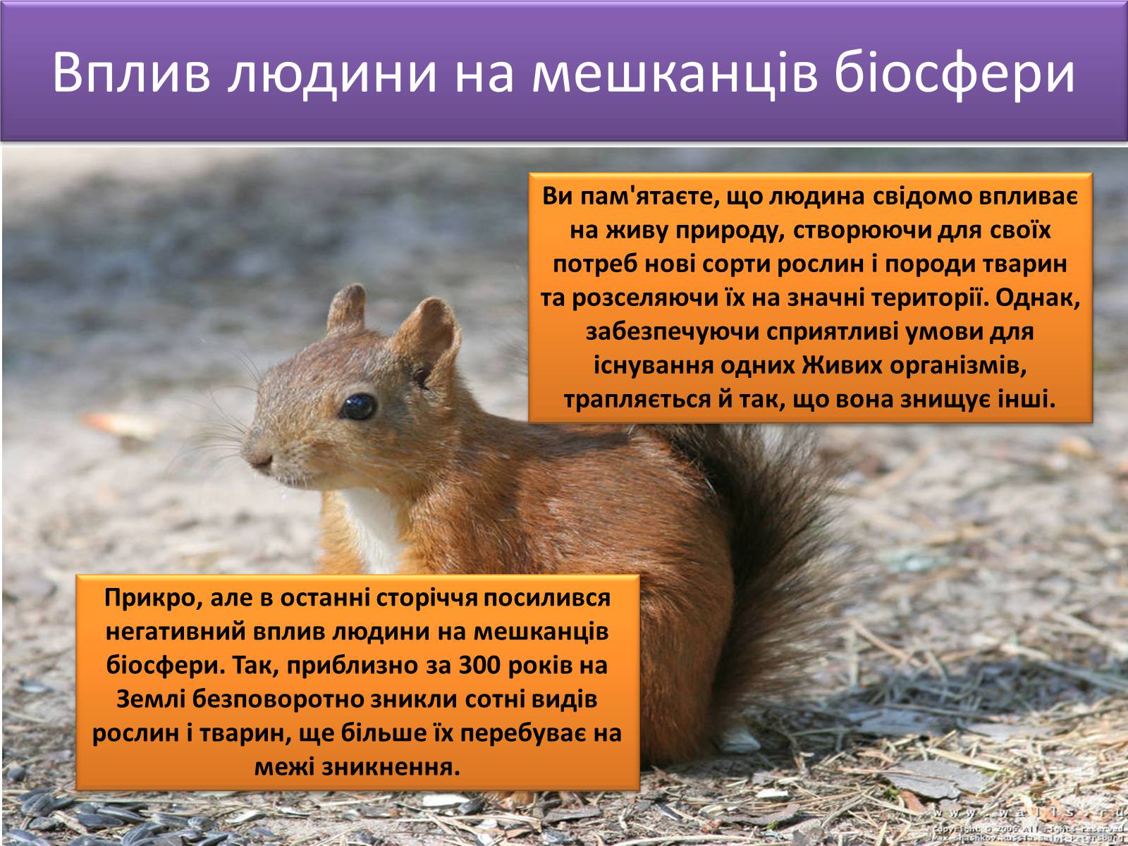 Презентація на тему «Людина і біосфера. Охорона біосфери» (варіант 3) - Слайд #13 Презентація на тему «Людина і біосфера. Охорона біосфери» (варіант 3) - Слайд #13