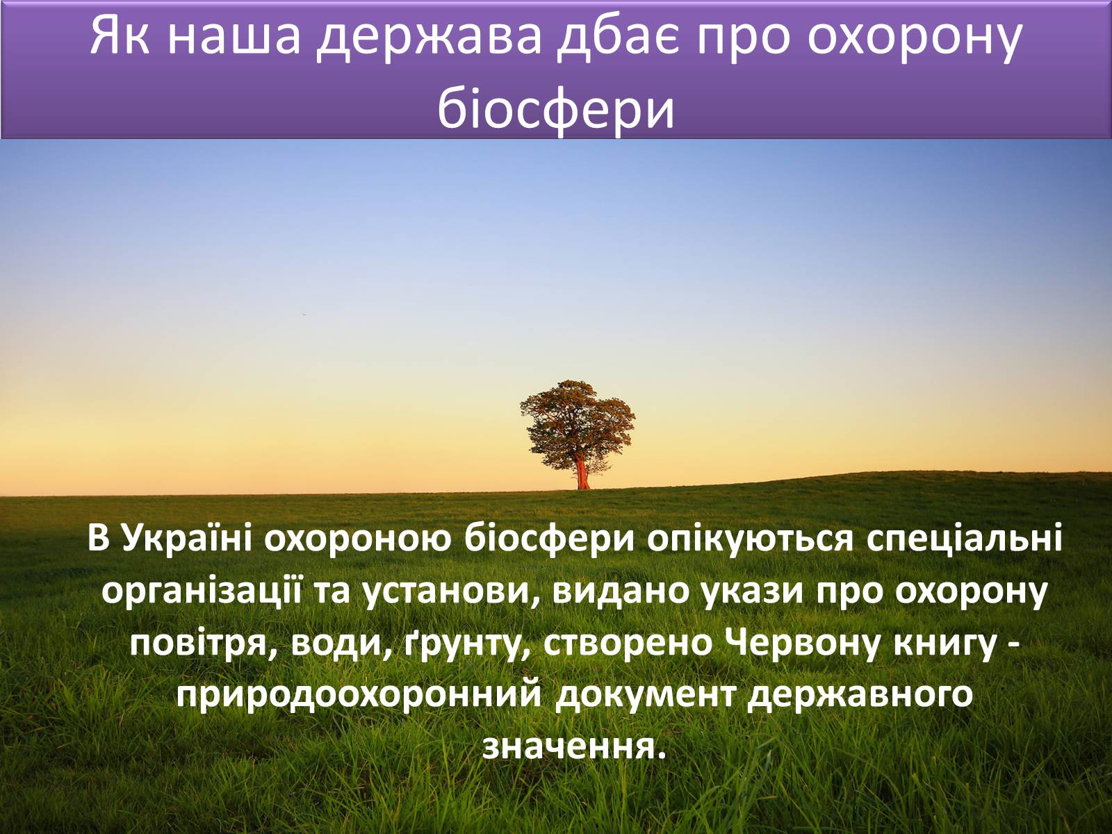 Презентація на тему «Людина і біосфера. Охорона біосфери» (варіант 3) - Слайд #5 Презентація на тему «Людина і біосфера. Охорона біосфери» (варіант 3) - Слайд #5